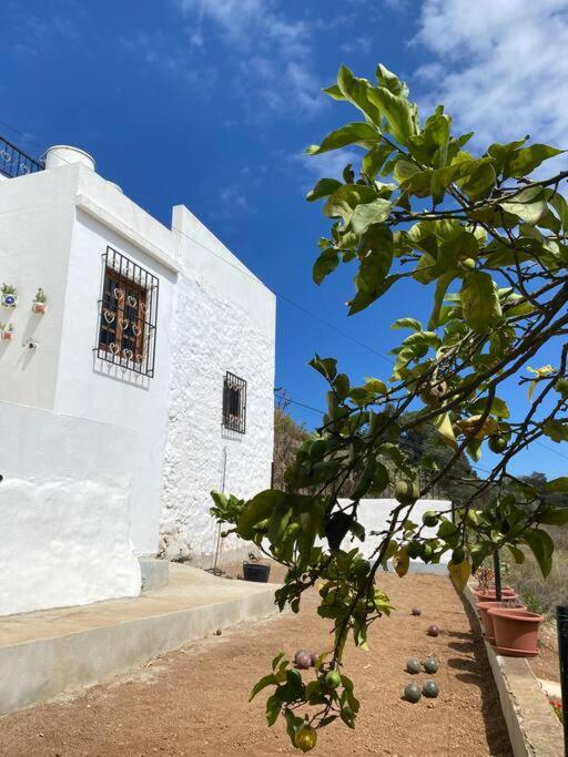 Casa Aya