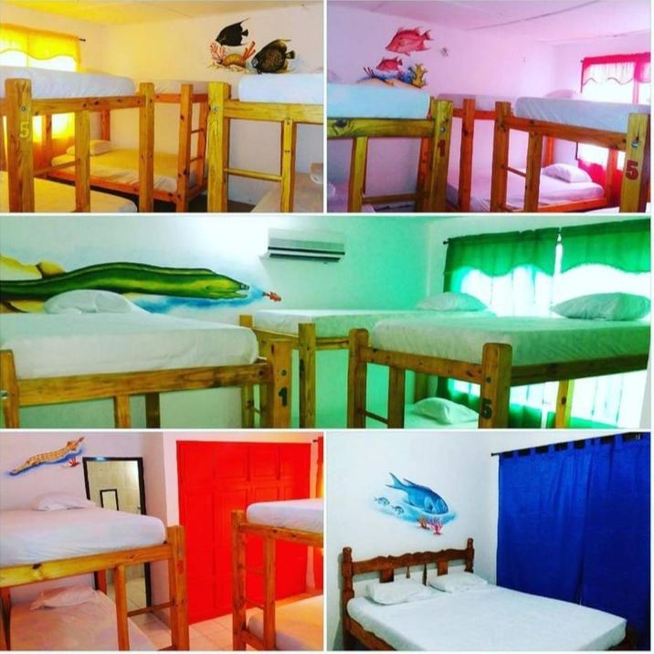 Taganga Paradise Hostal Diving