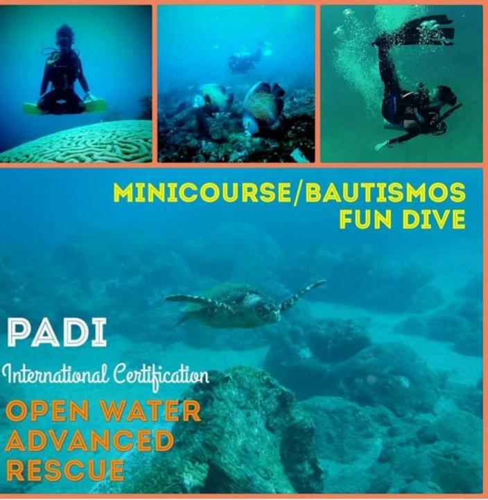Taganga Paradise Hostal Diving