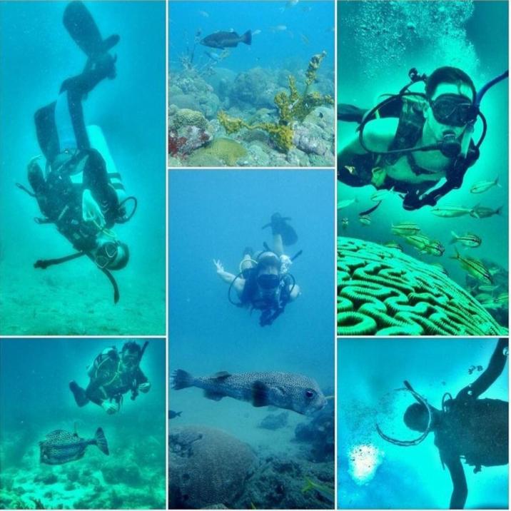 Taganga Paradise Hostal Diving