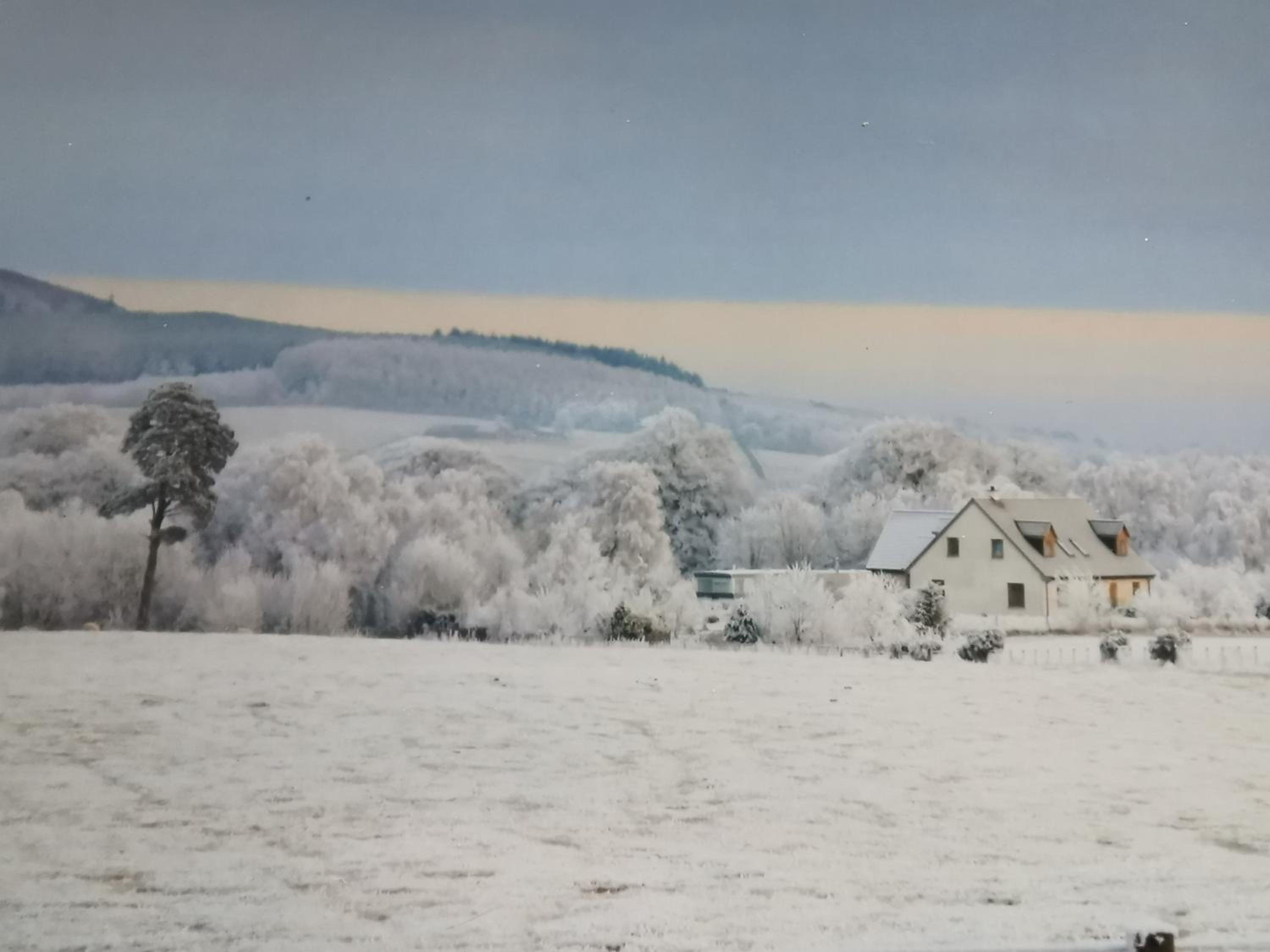 Hillhaven Lodge