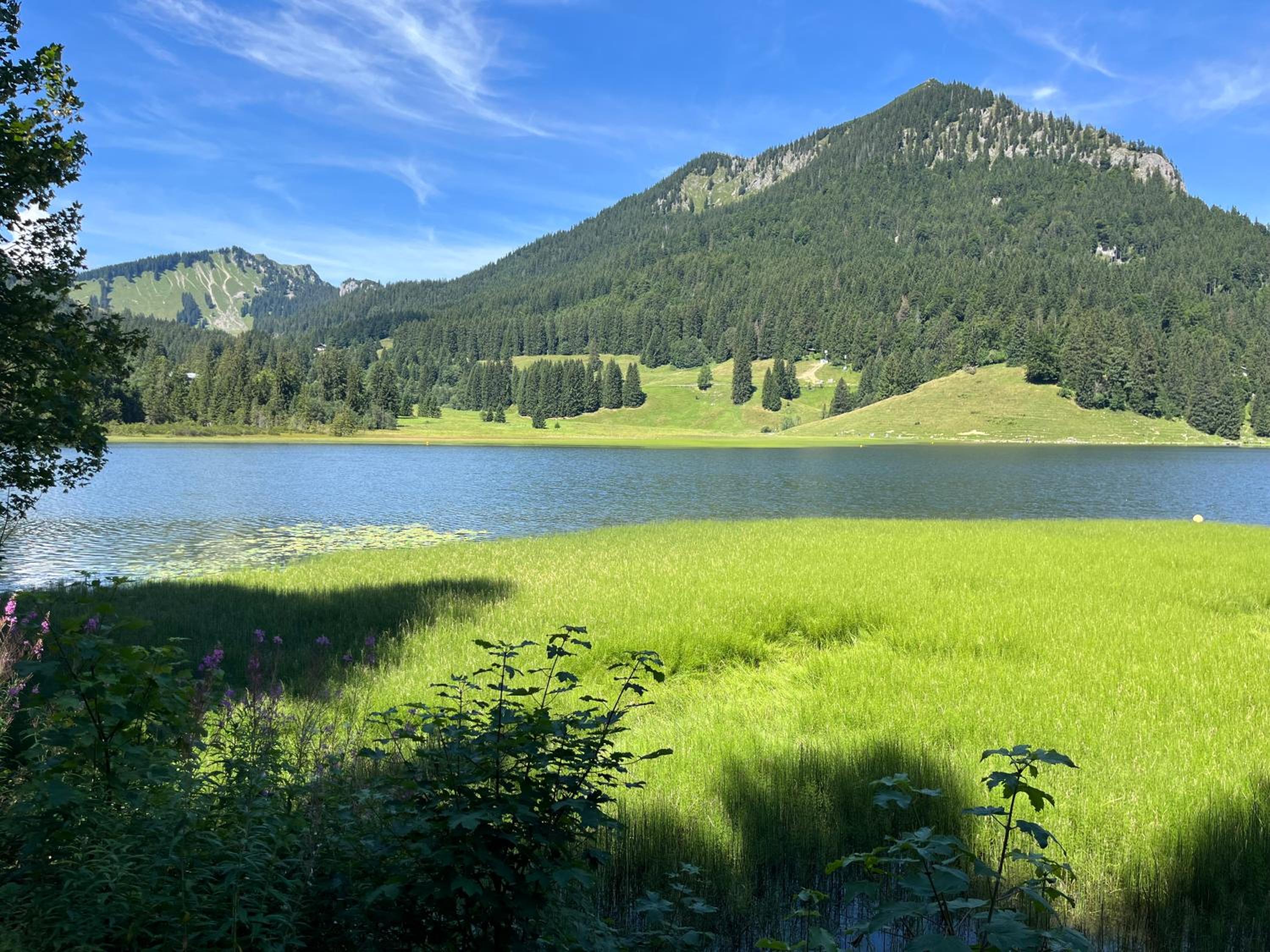DAS KIRCHBICHL - stylisch lässig, mit eigener Sauna