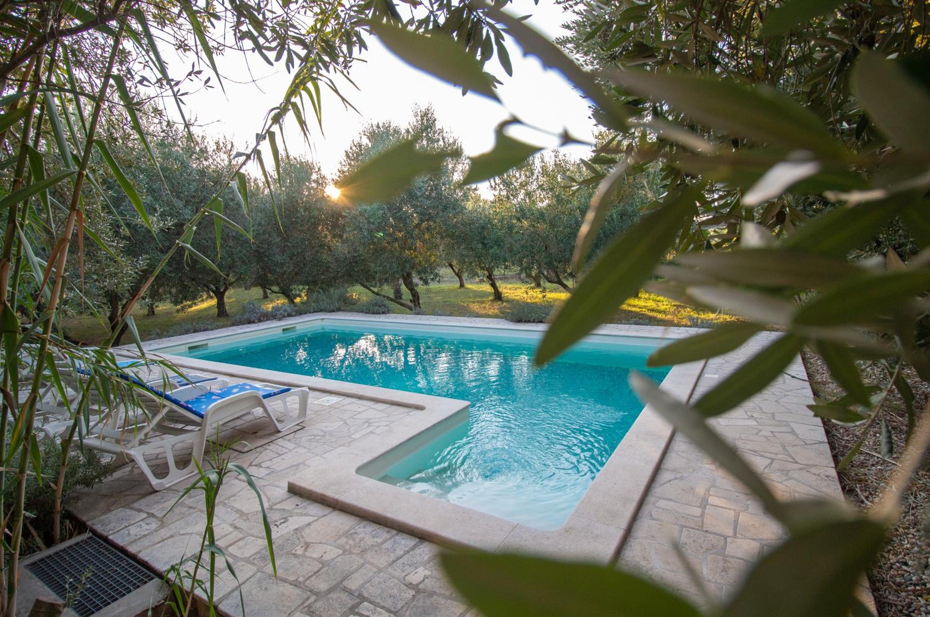 Holiday house Domagoj with a swimming pool and a large yard view 2