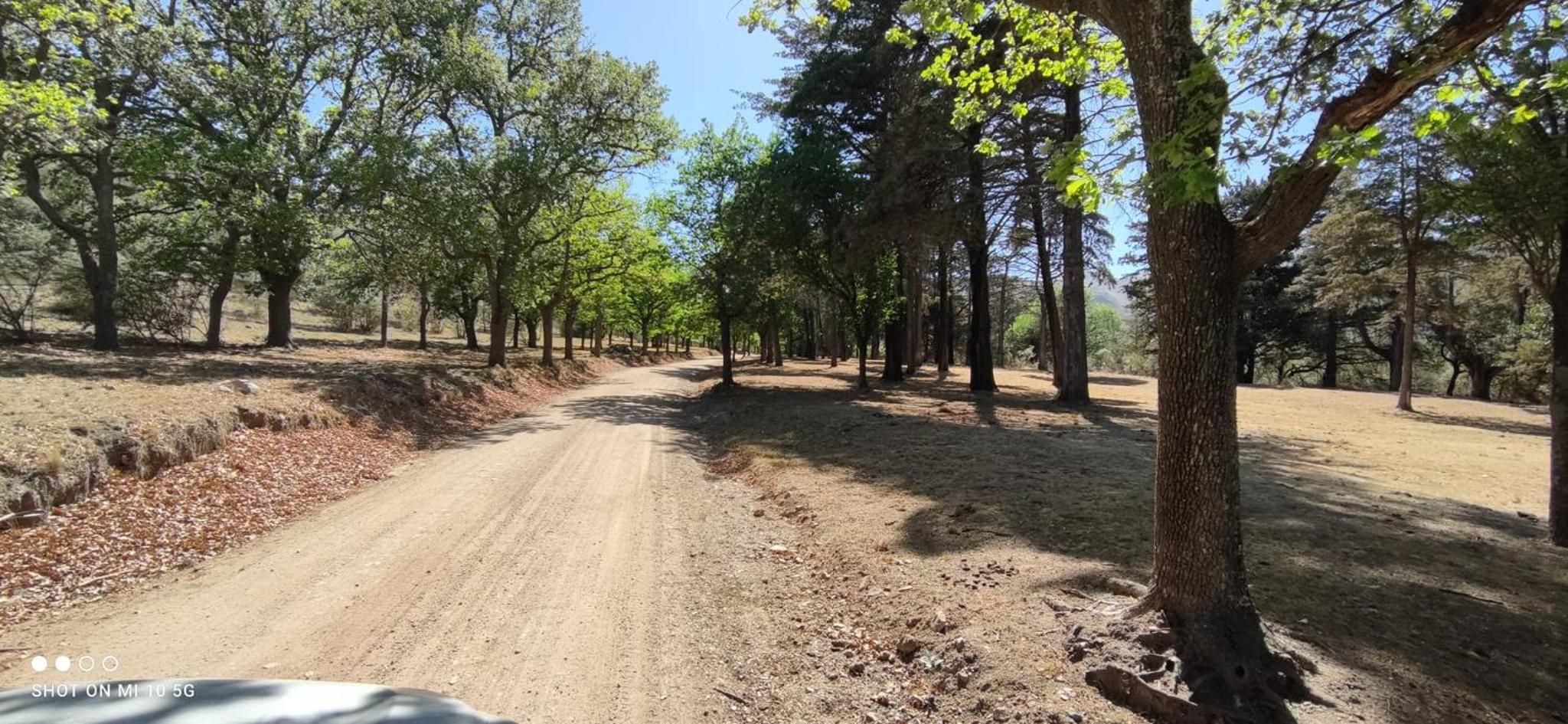 Casa de Montaña María Tequila