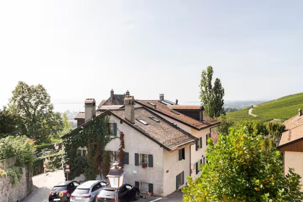 Suite au milieu des vignes avec magnifique vue sur le lac et jardin