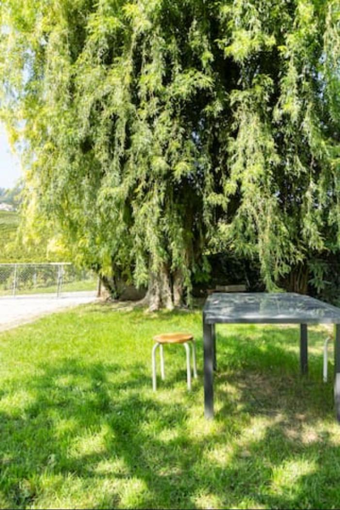 Suite au milieu des vignes avec magnifique vue sur le lac et jardin