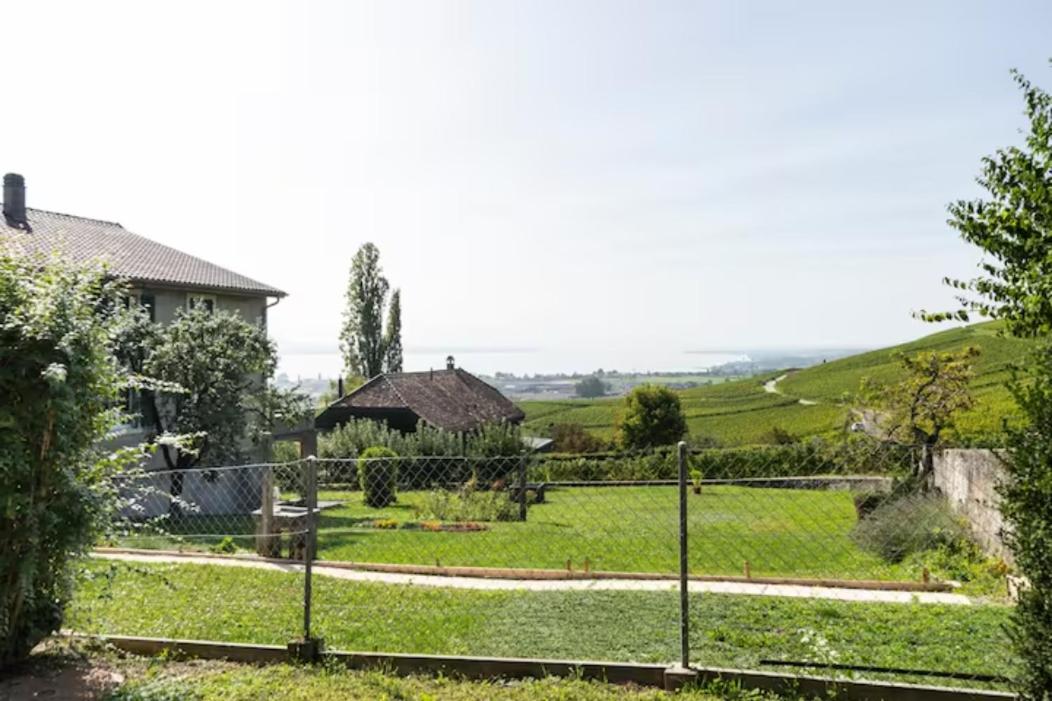 Suite au milieu des vignes avec magnifique vue sur le lac et jardin