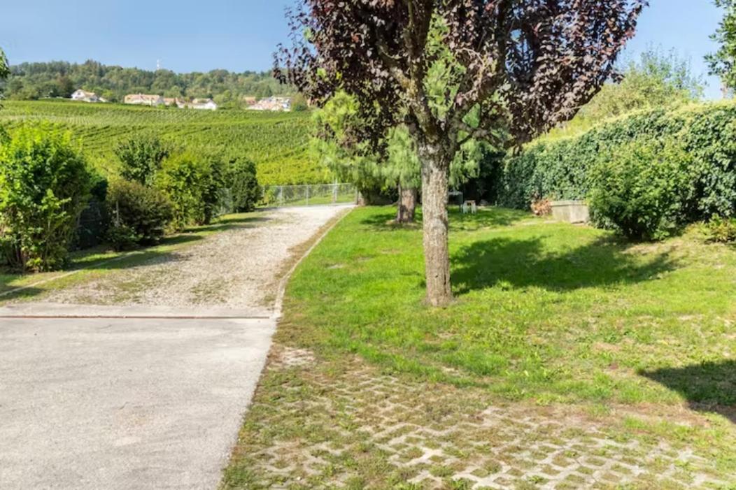 Suite au milieu des vignes avec magnifique vue sur le lac et jardin