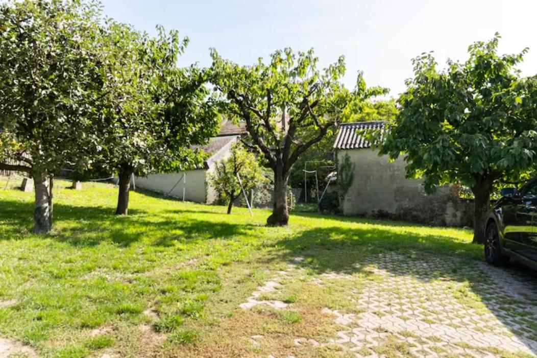 Suite au milieu des vignes avec magnifique vue sur le lac et jardin
