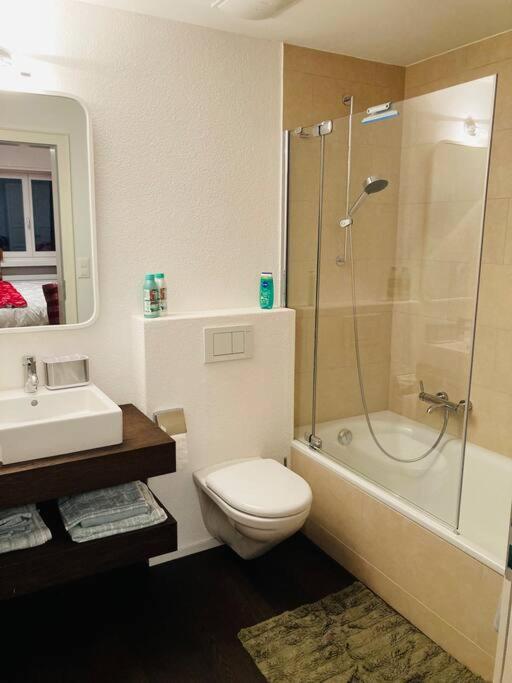 Stunning Luxury apartment in Central Klosters