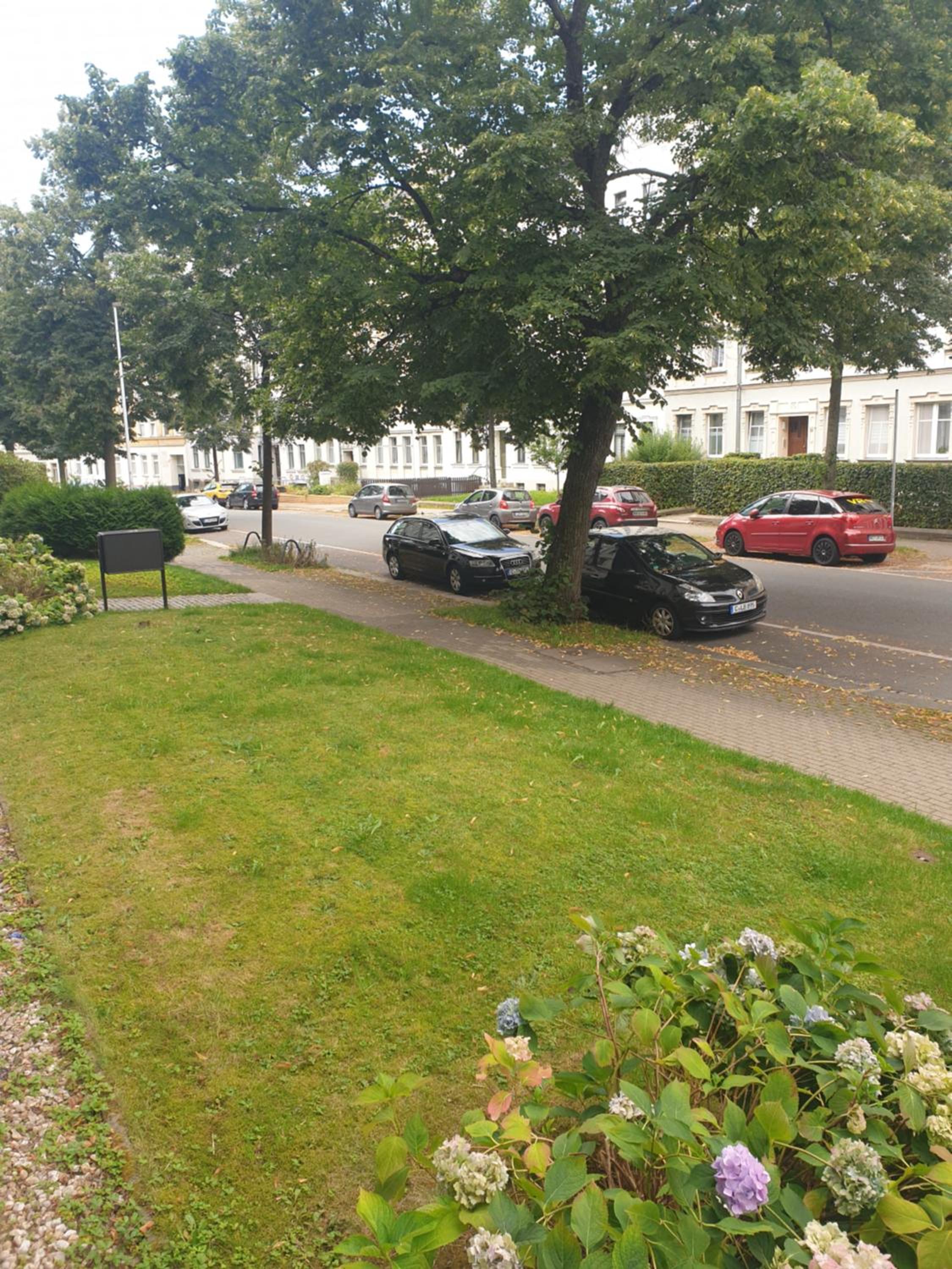 Chemnitz Saxonia HomeDeLuxe Hochwertige 50qm 2-Zimmer-Ferienwohnung mit privaten Kfz Parkplatz Stellplatz mit MWSt-Rechnung mit XXL Hülsta Bett & Etagenbet