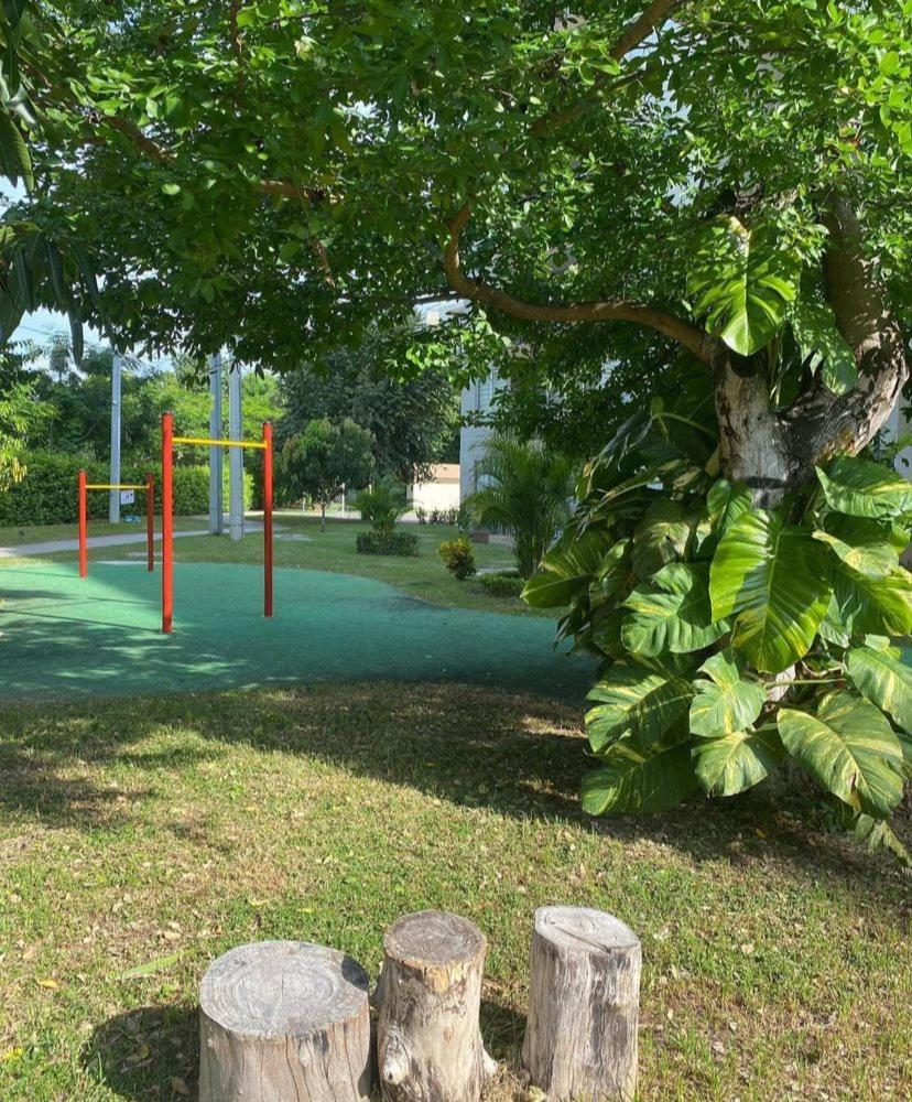 Hacienda Peñalisa Mango 3-307