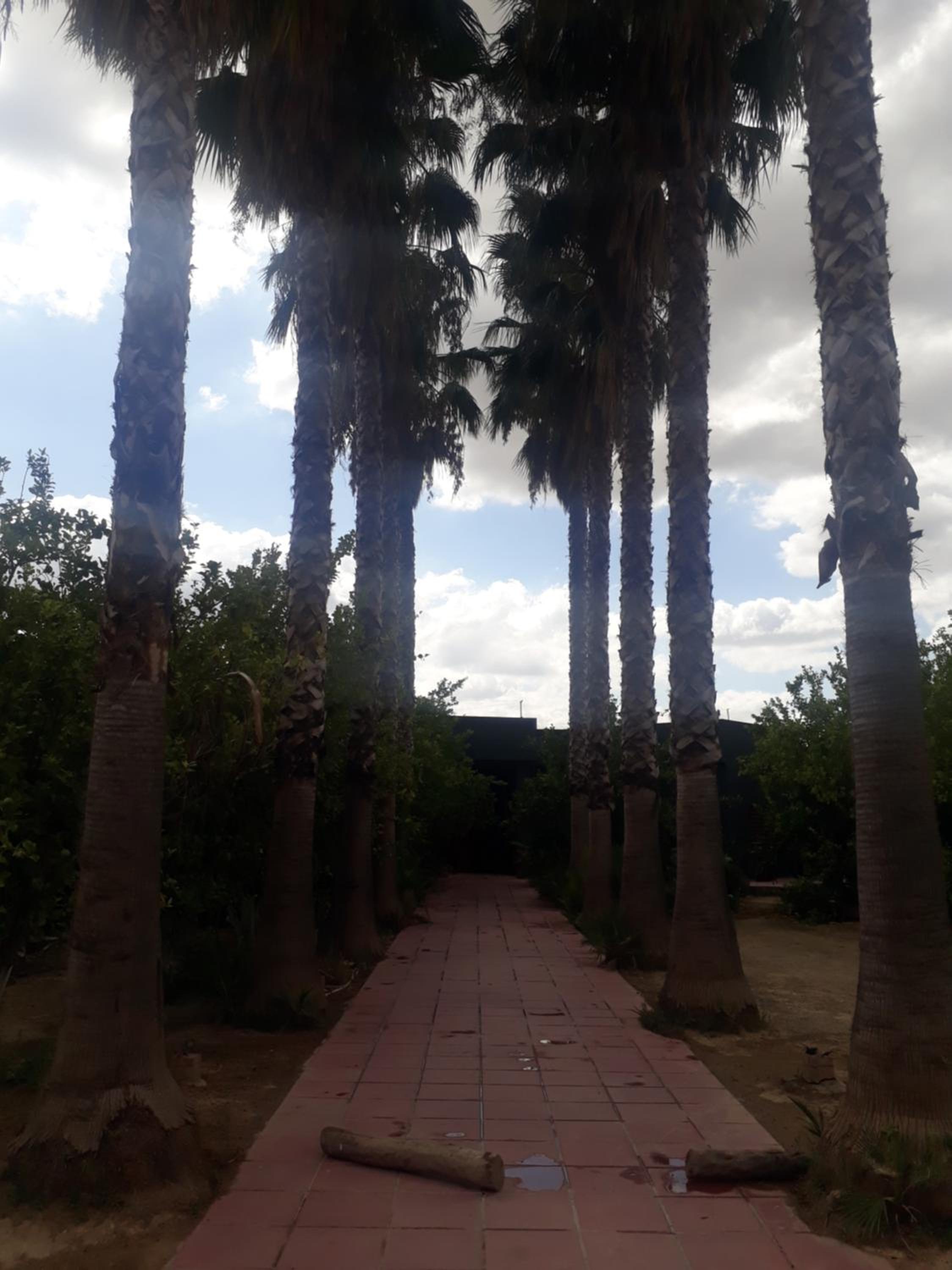 Photo 40