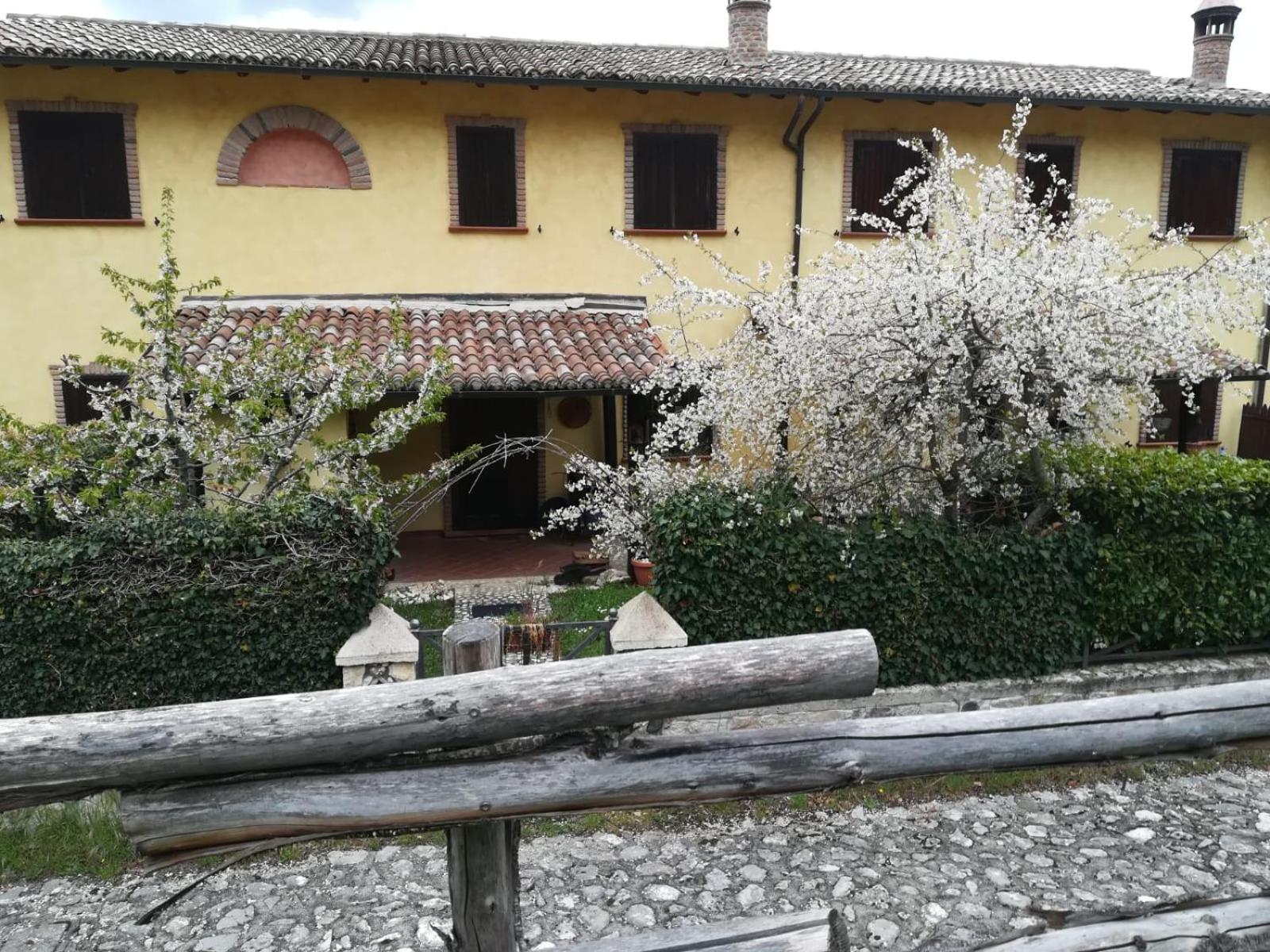 Photo 8