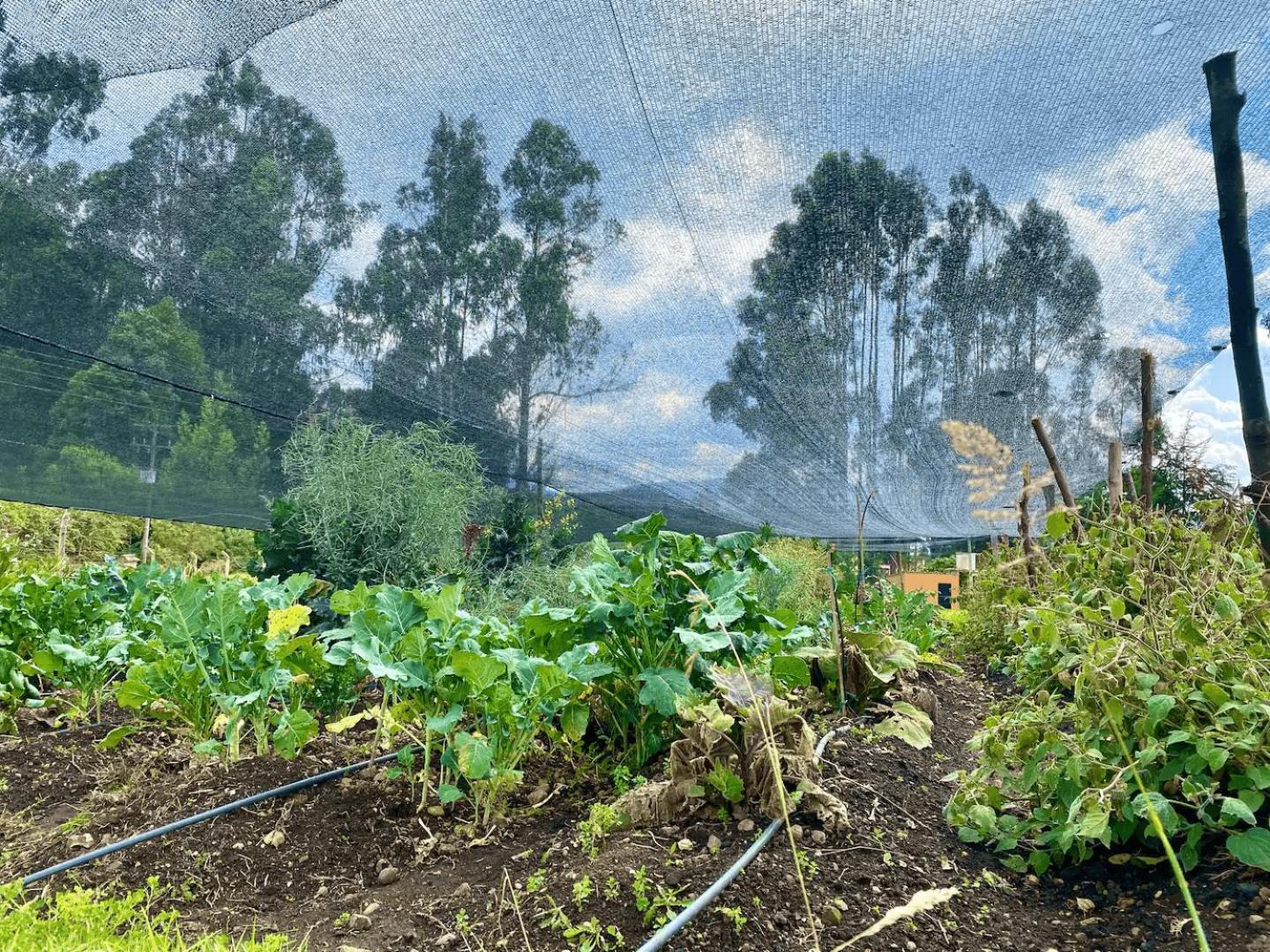 Mi Refugio