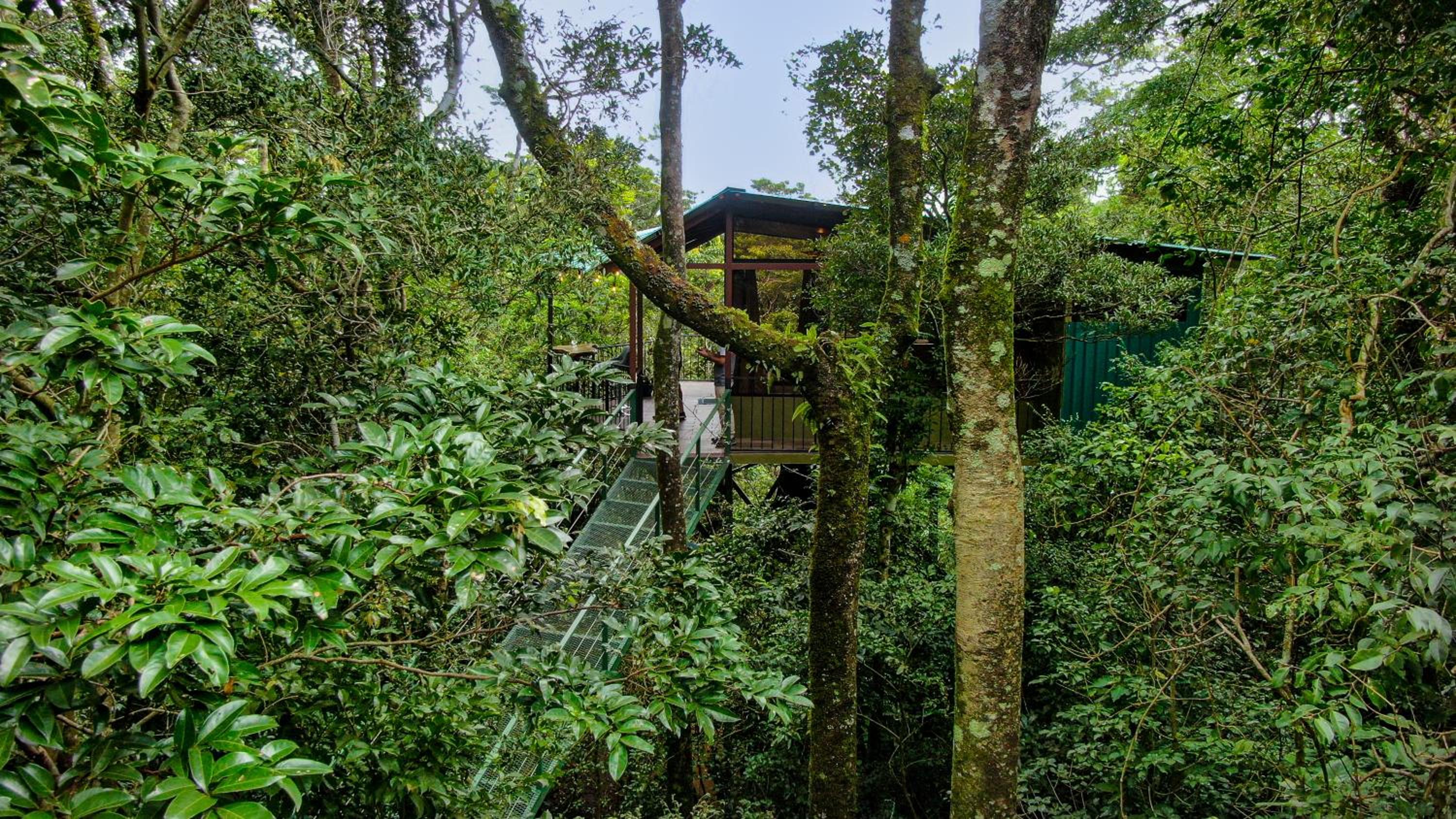 Cabañas La Montaña