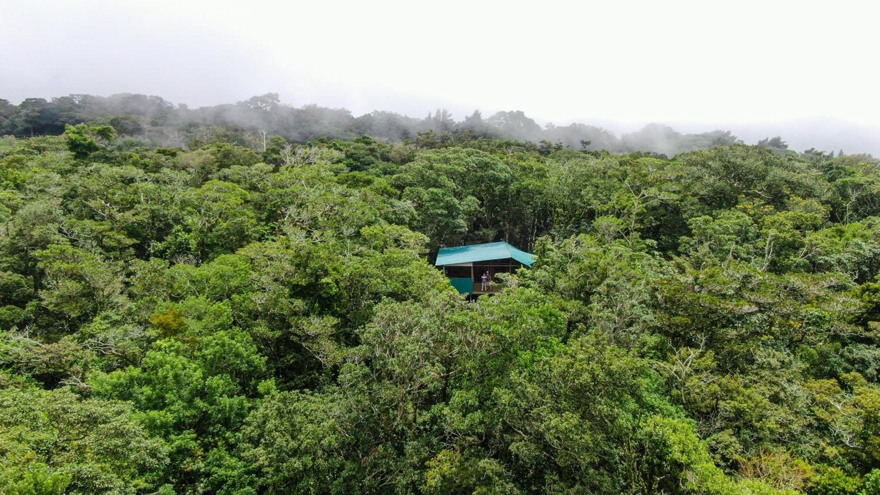 Cabañas La Montaña