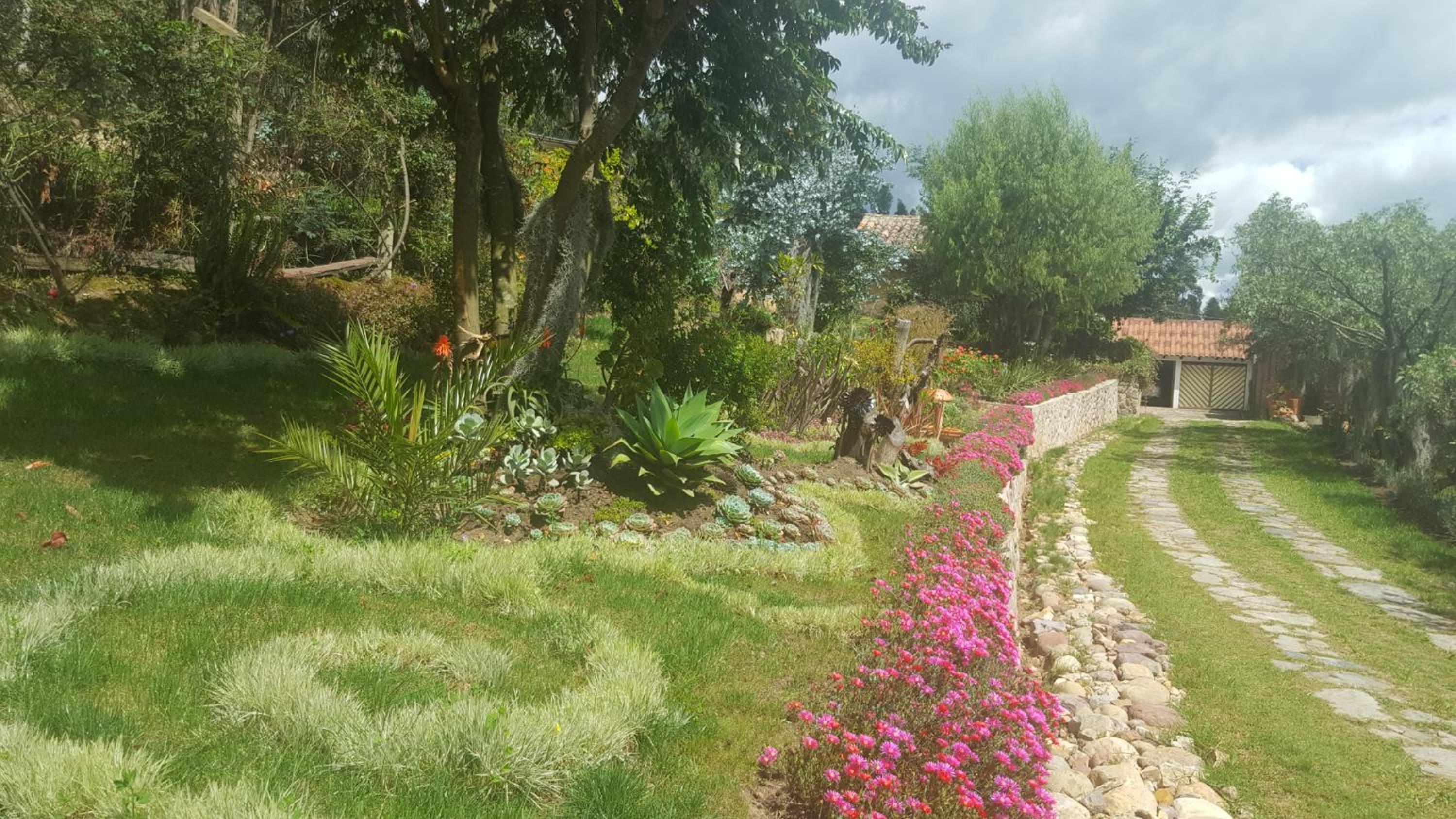D'Antaño