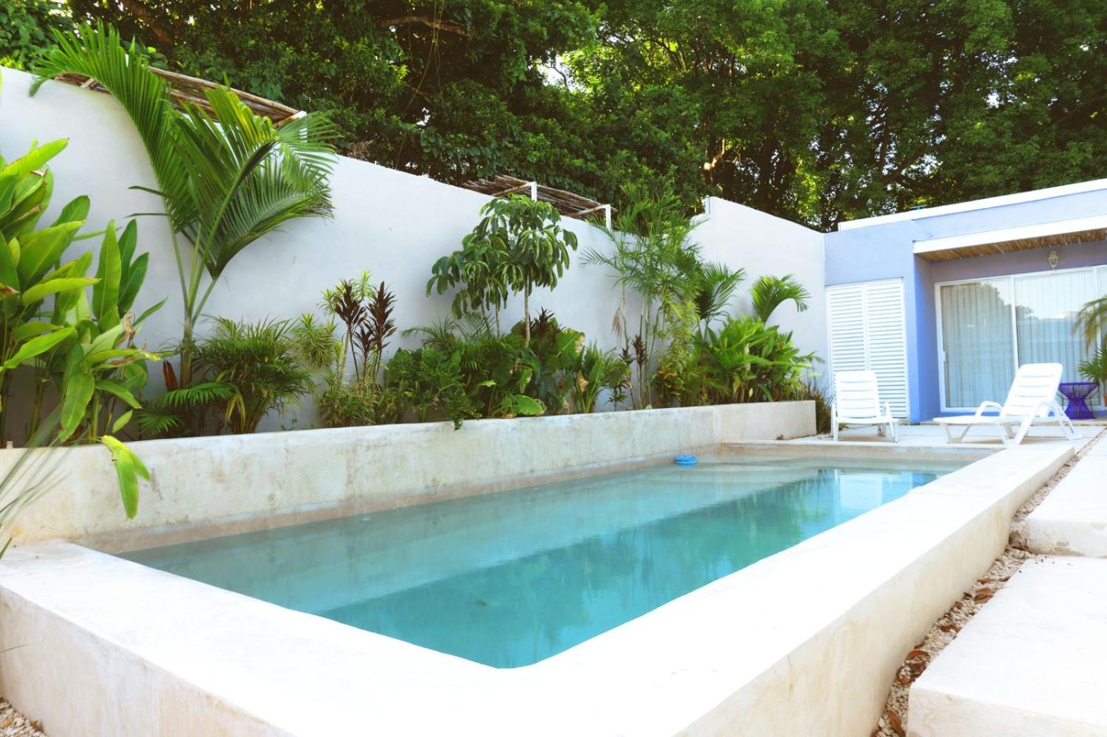 Casa Violeta view 5