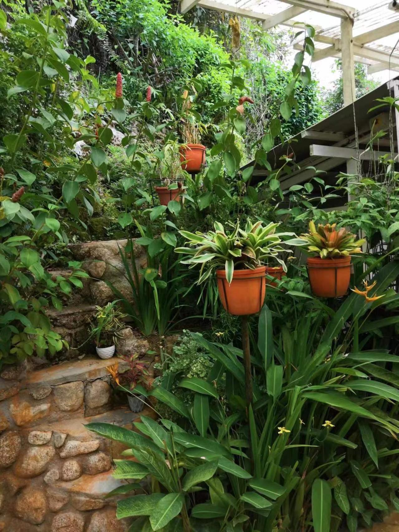 Moonriver Lodge