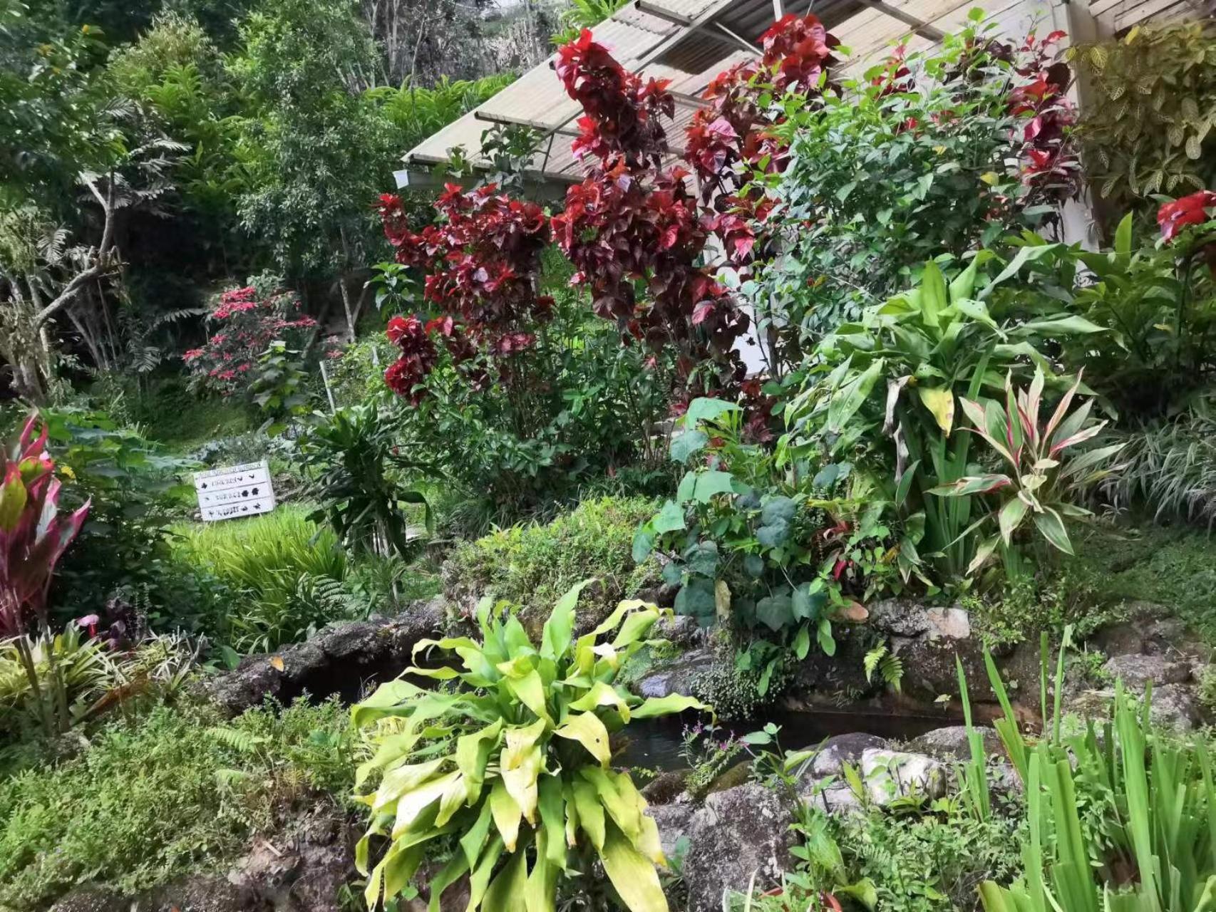 Moonriver Lodge
