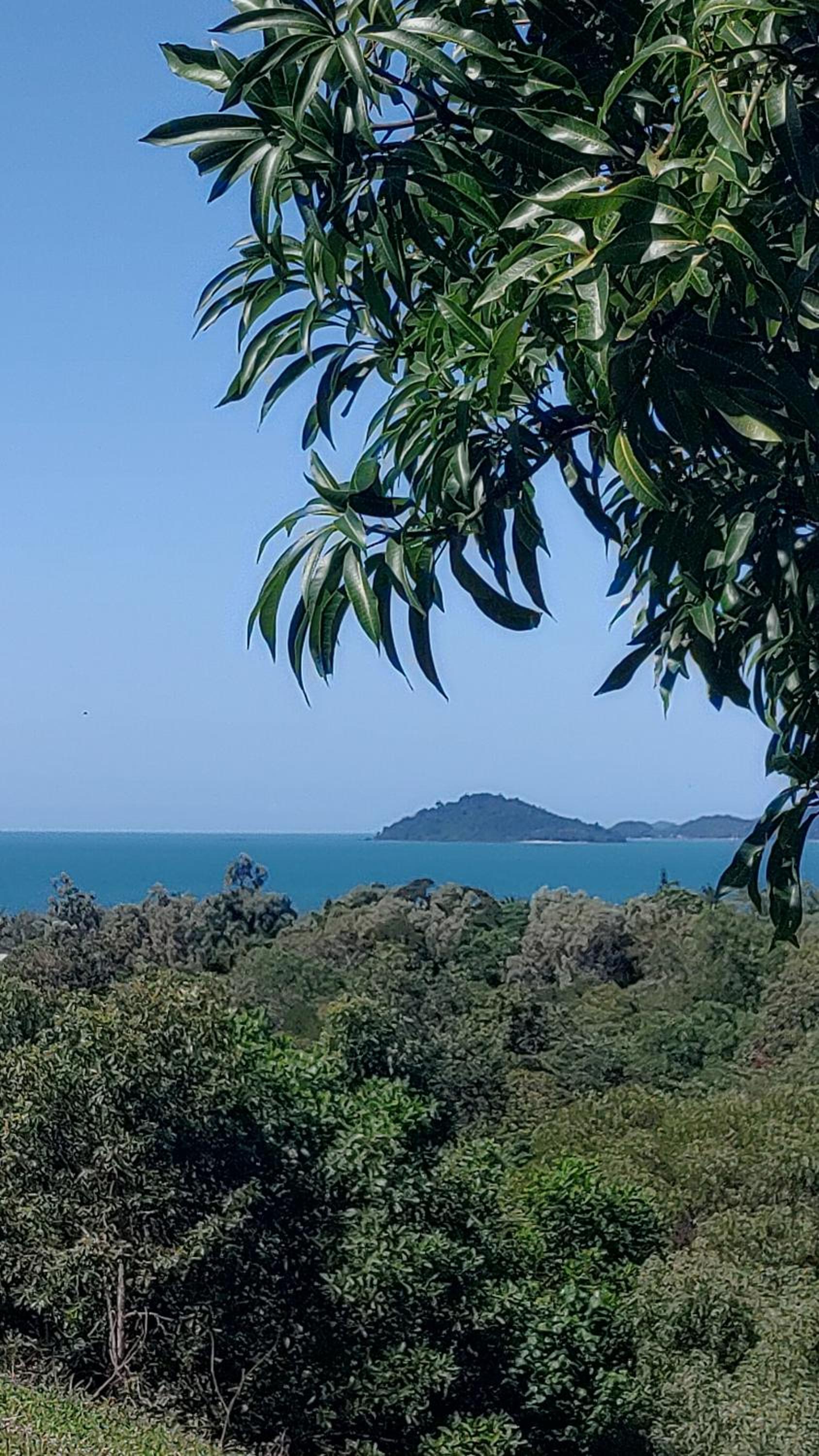 Hidden Gem Holiday Let