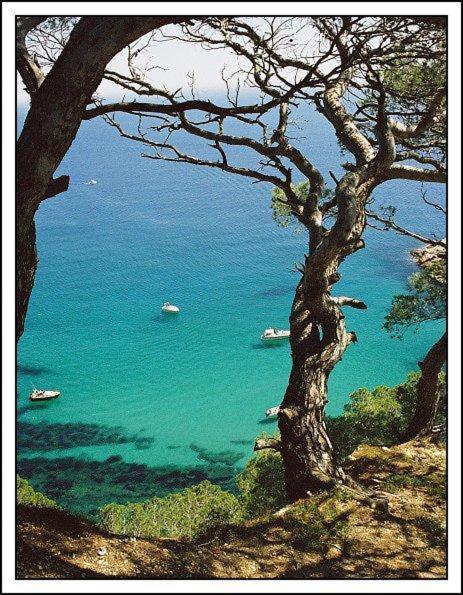 Cau de Creus view 5
