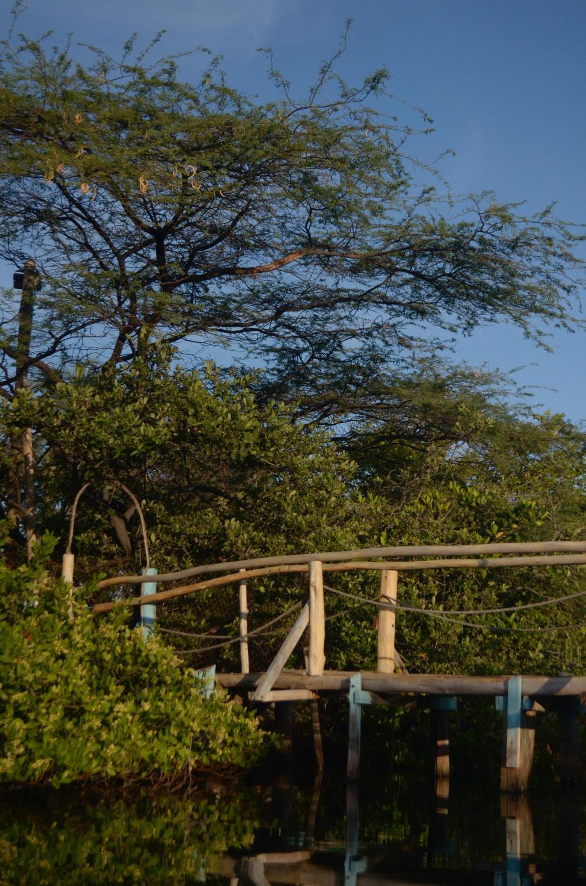 Playa del Ritmo Beach Hostel & Bar - Adults Only