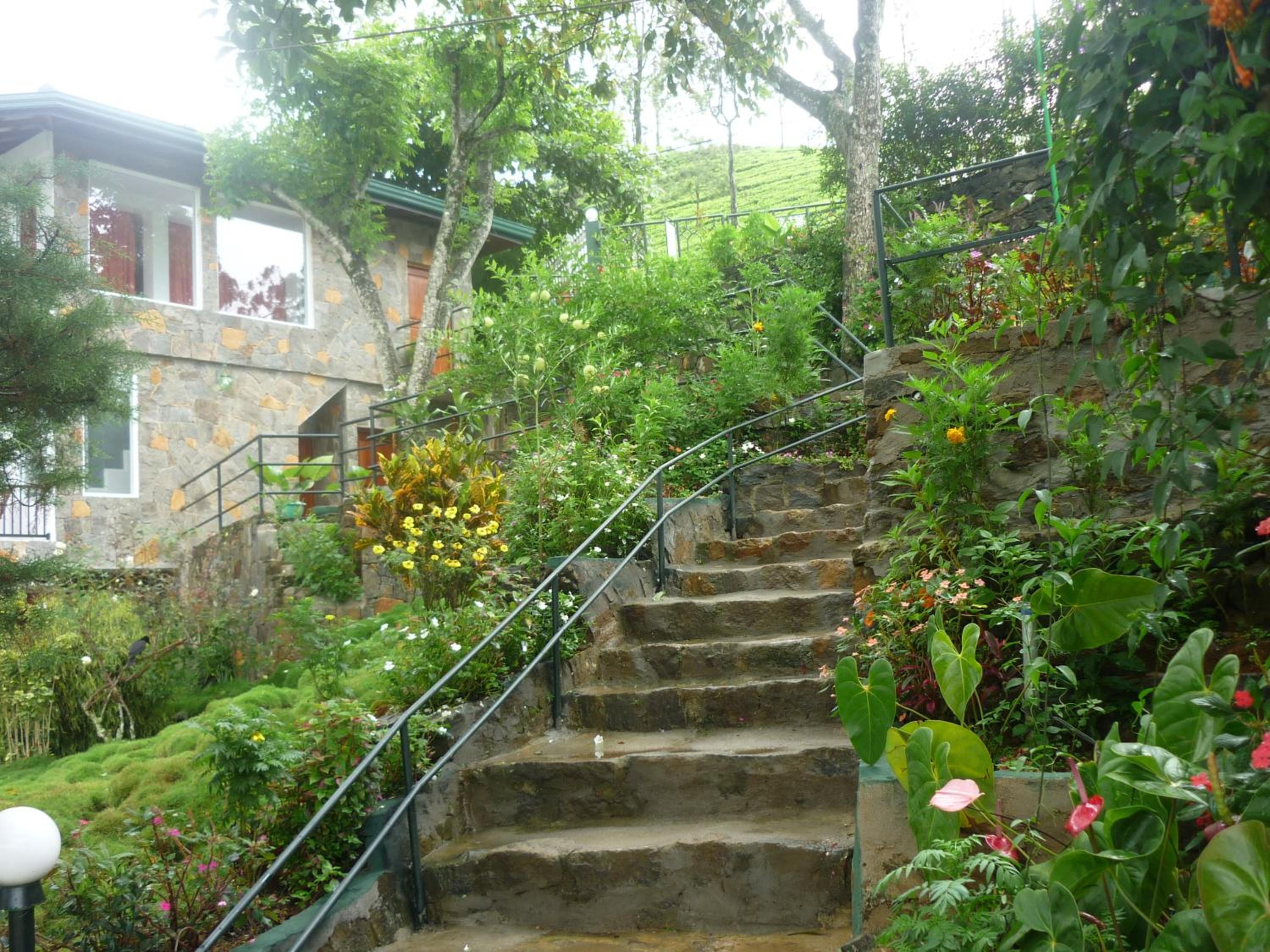 Photo 40