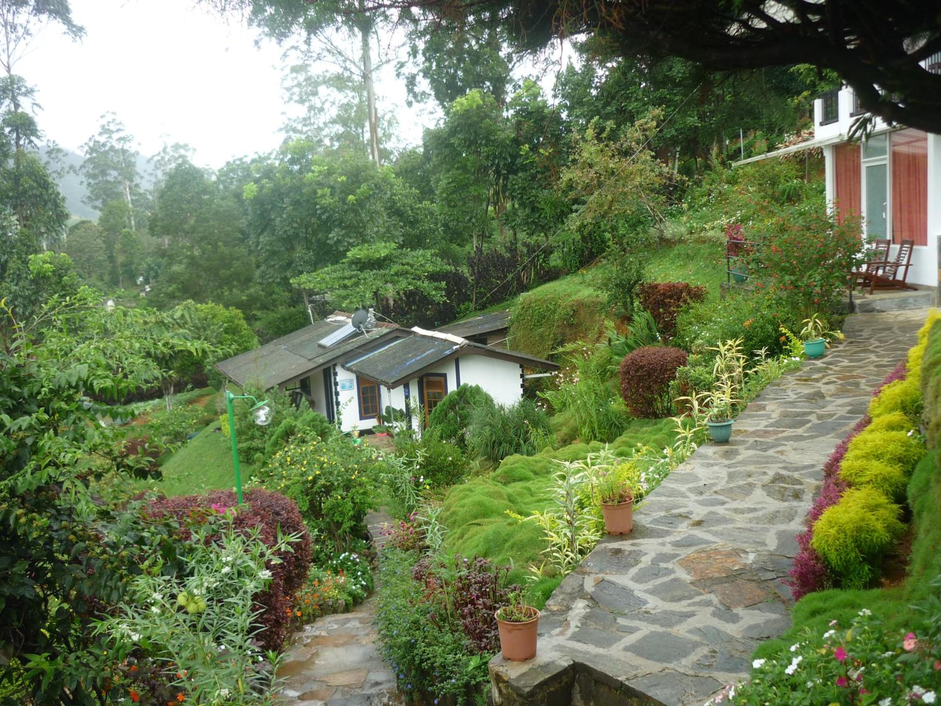 Photo 42