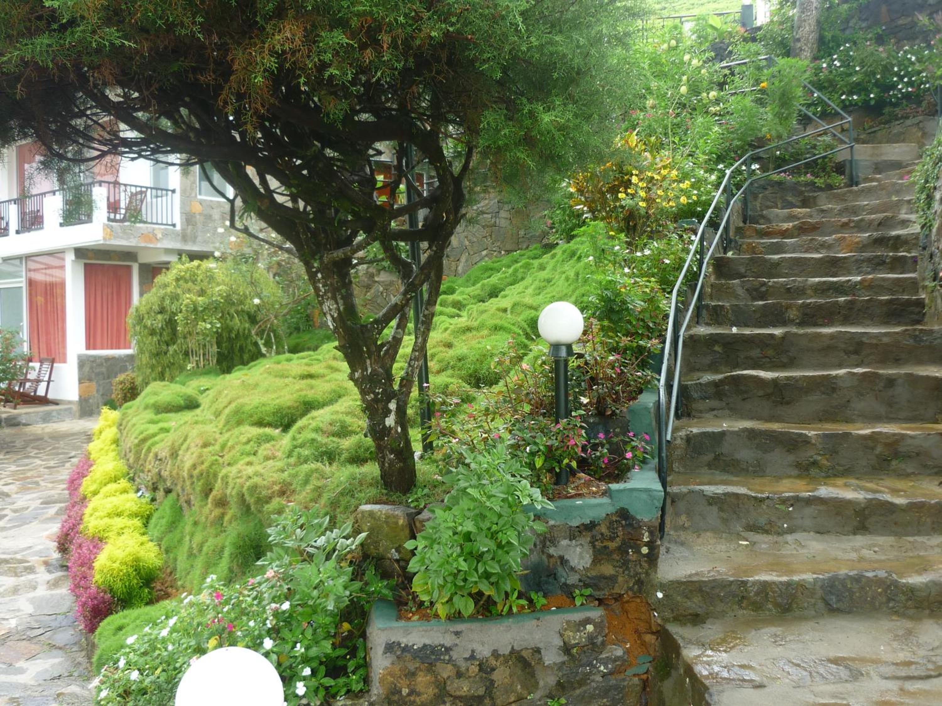 Photo 43