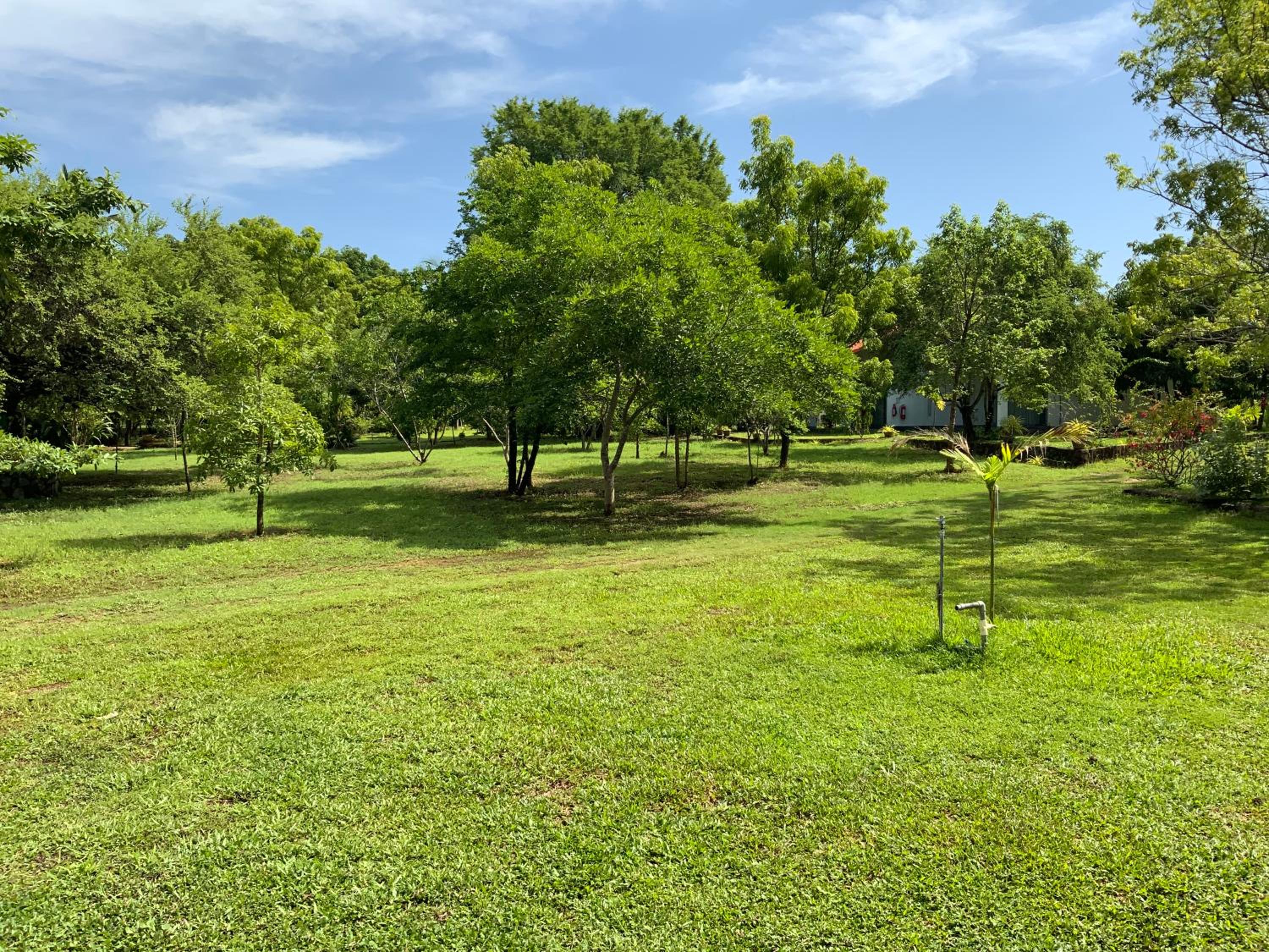 Nature Resort view 5