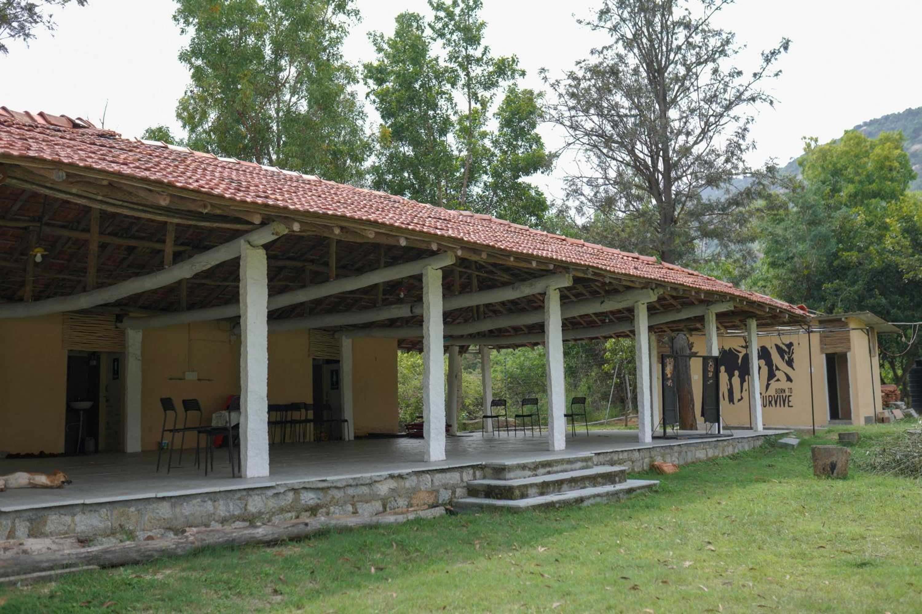 Photo 8