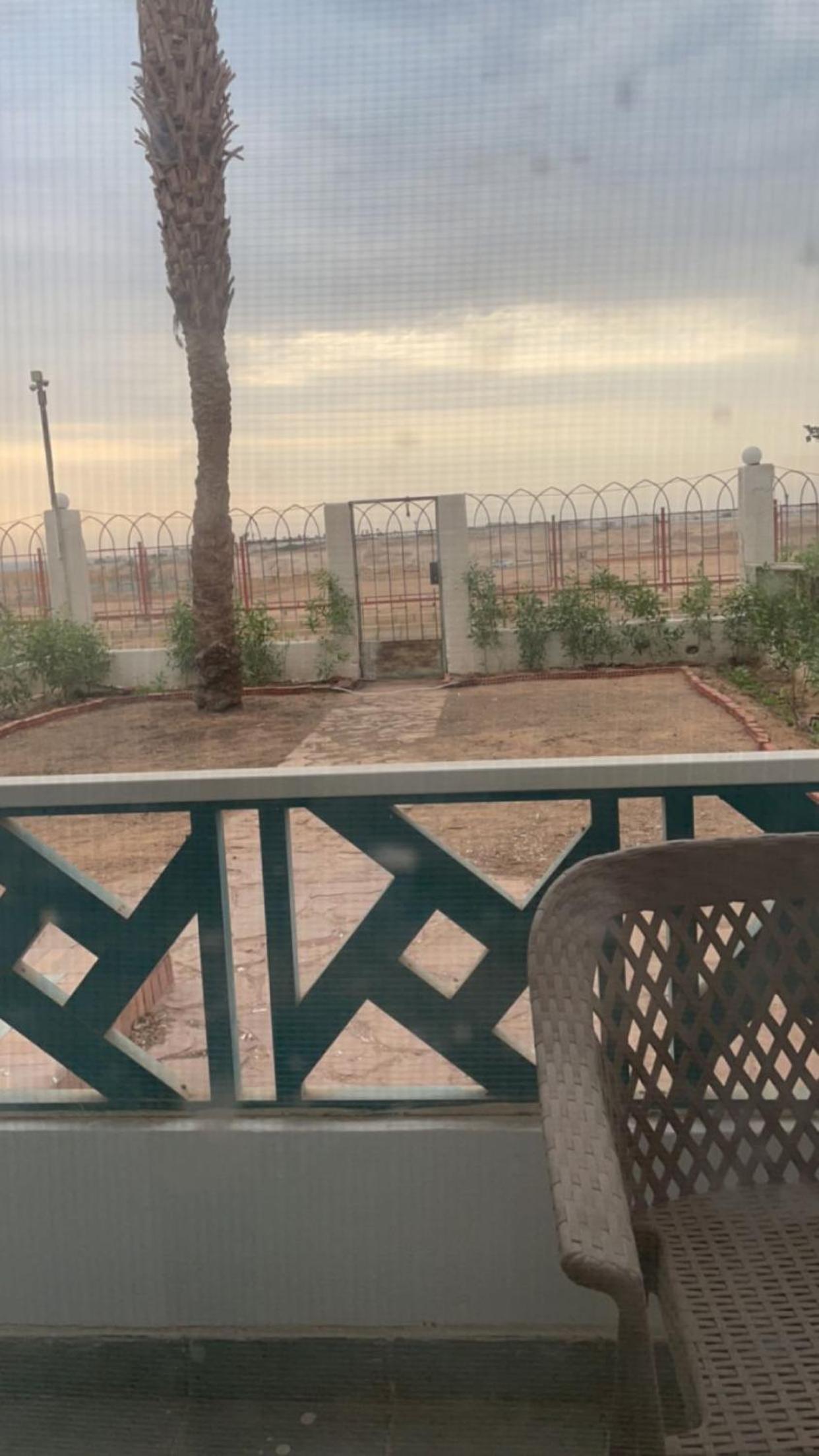 A cozy room in 2 bedrooms apartment with a back yard view 4