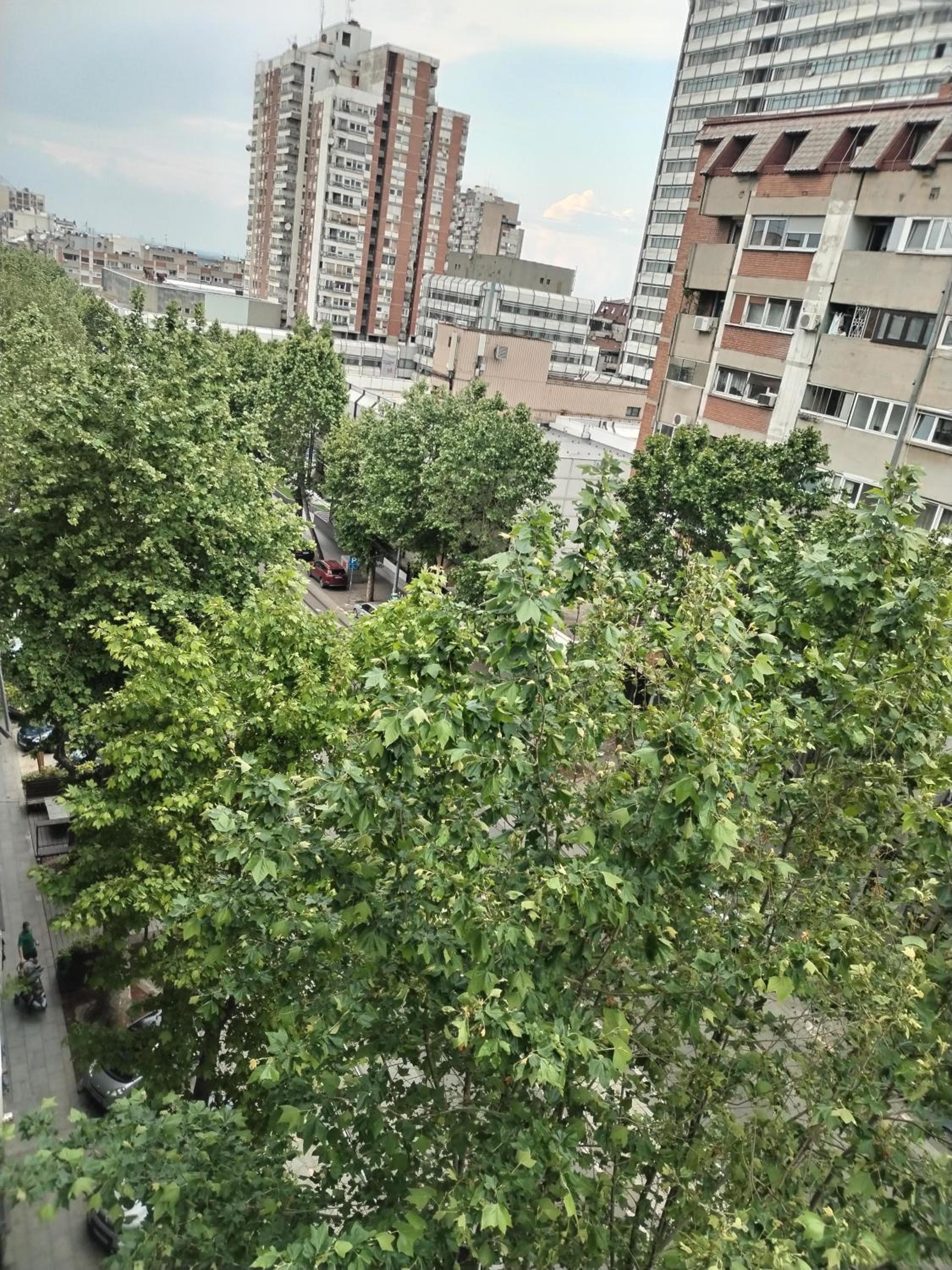 Photo 29