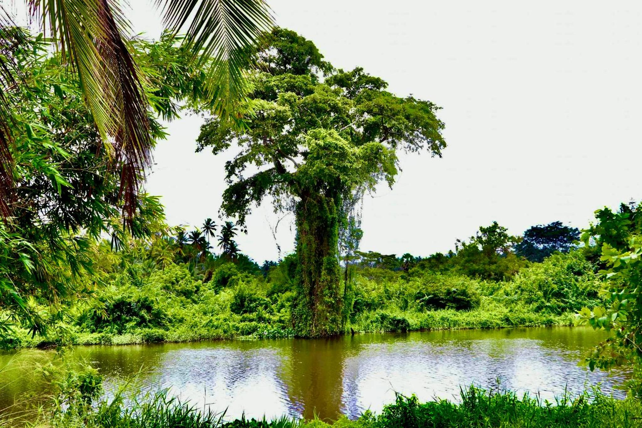 Beautiful Lake View Bungalow