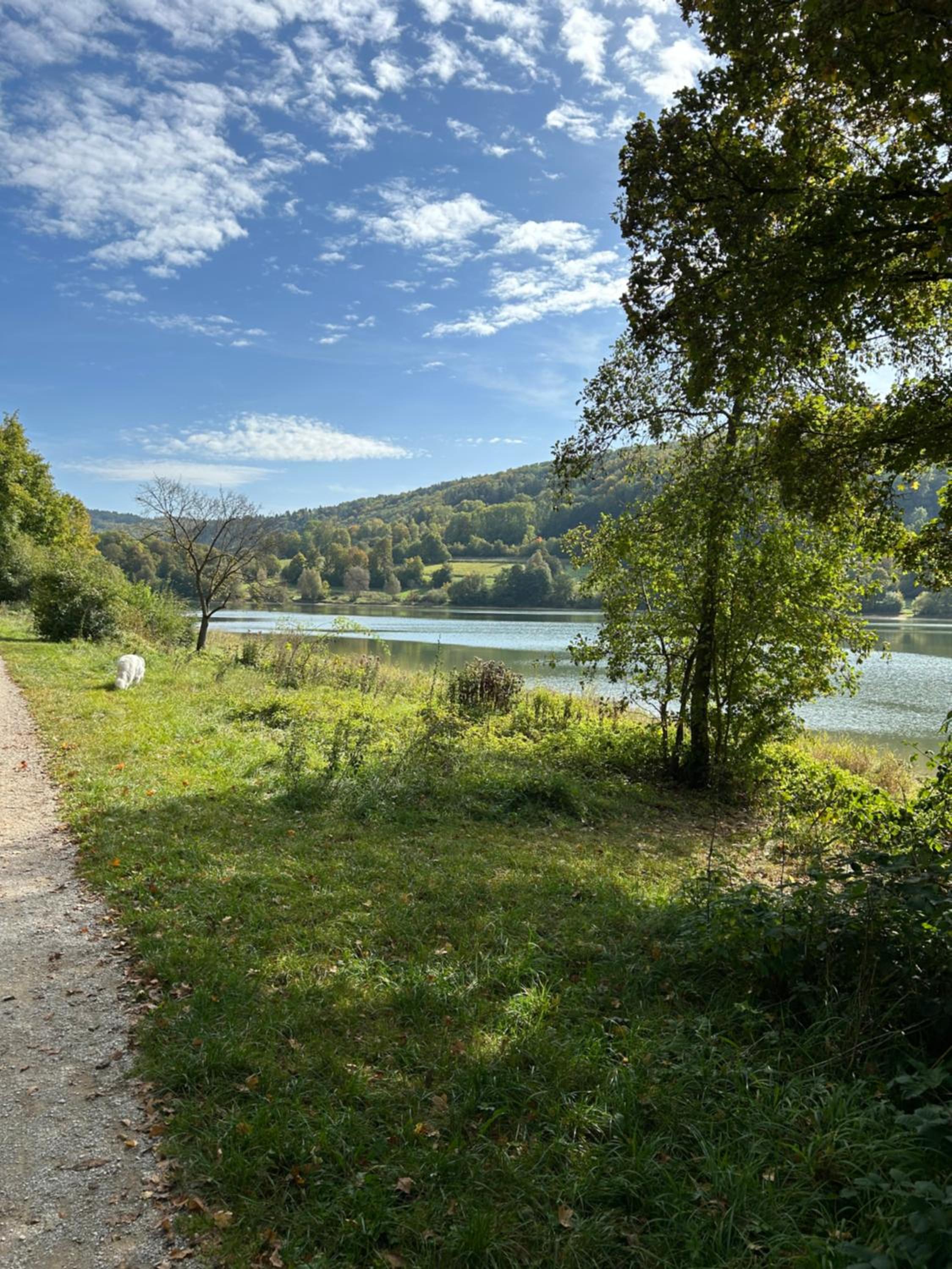 Ländliche Fewo Wildblume, 4 km zum Stausee