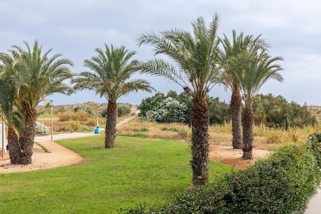 Orilla del mar