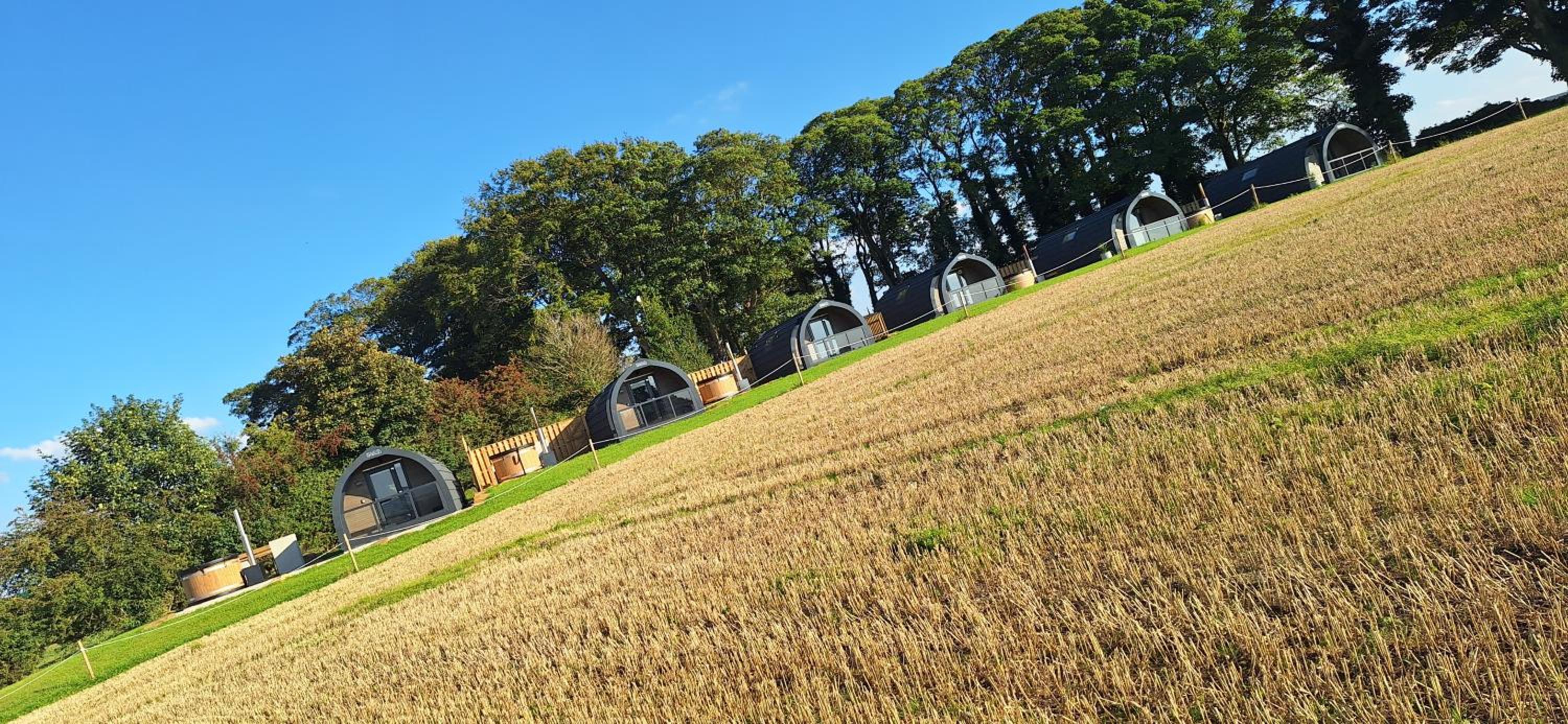 Eastfield Glamping Farm view 2