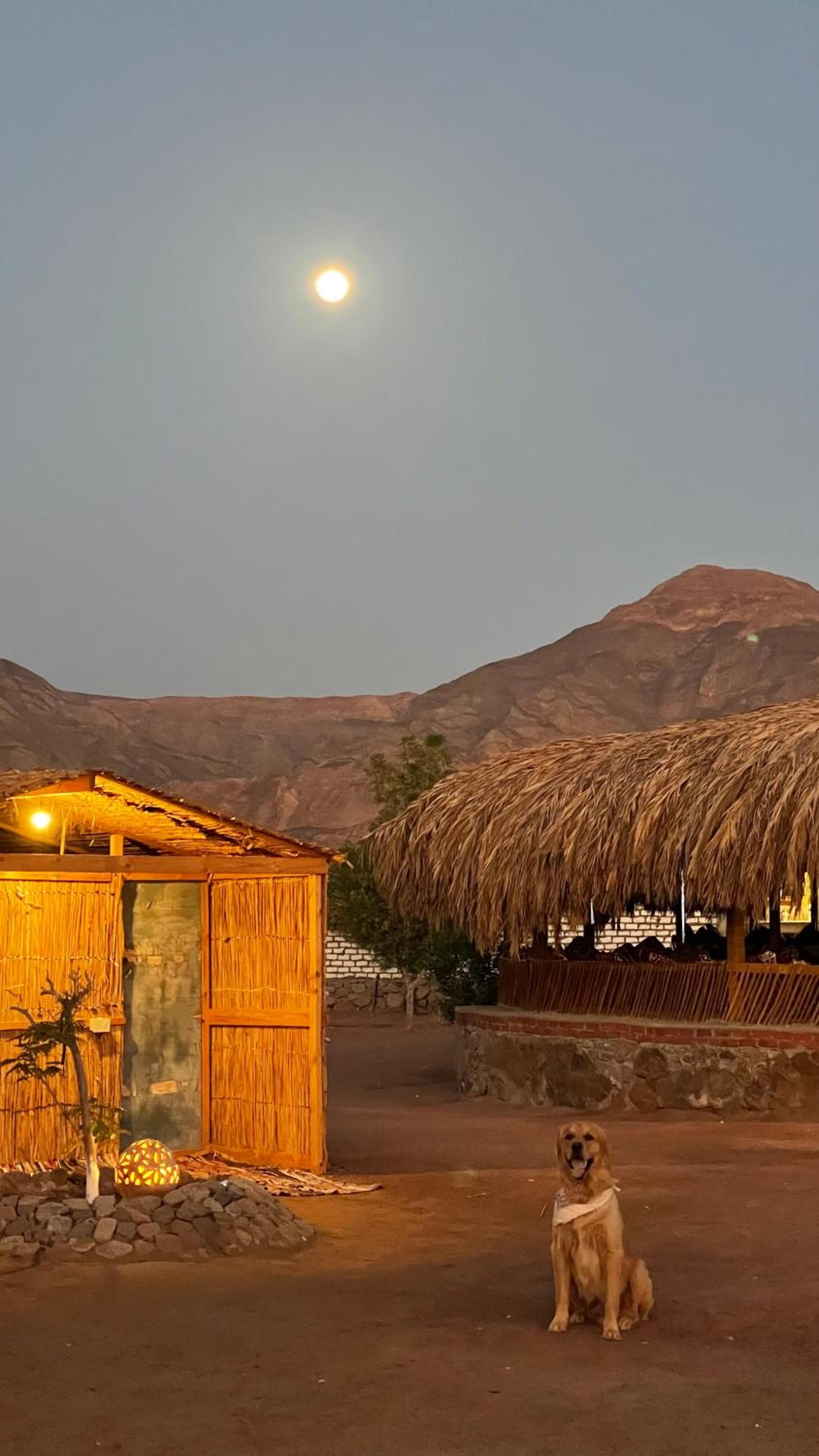 Alwaha Camp