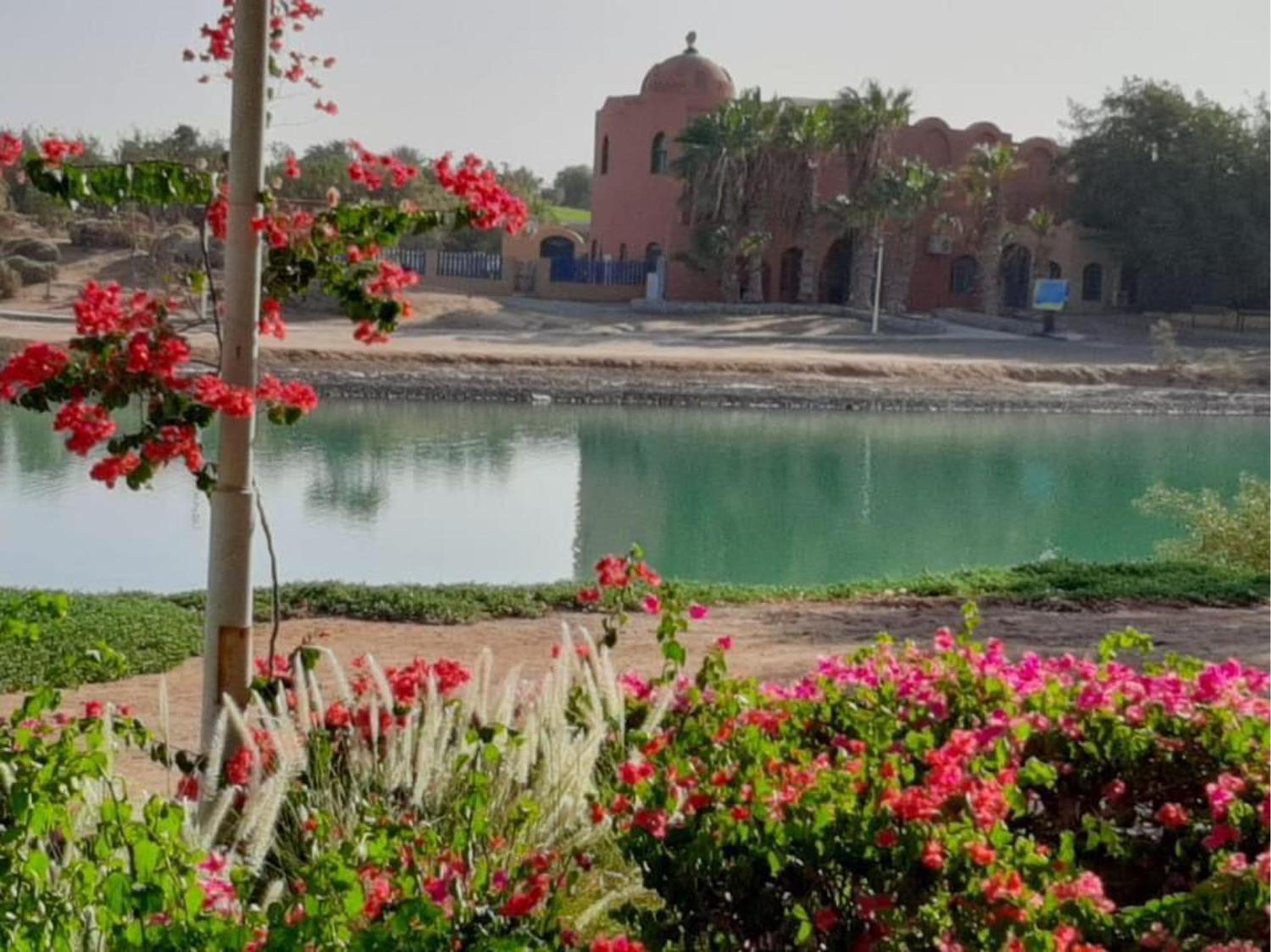 Casa Della Laguna in Gouna