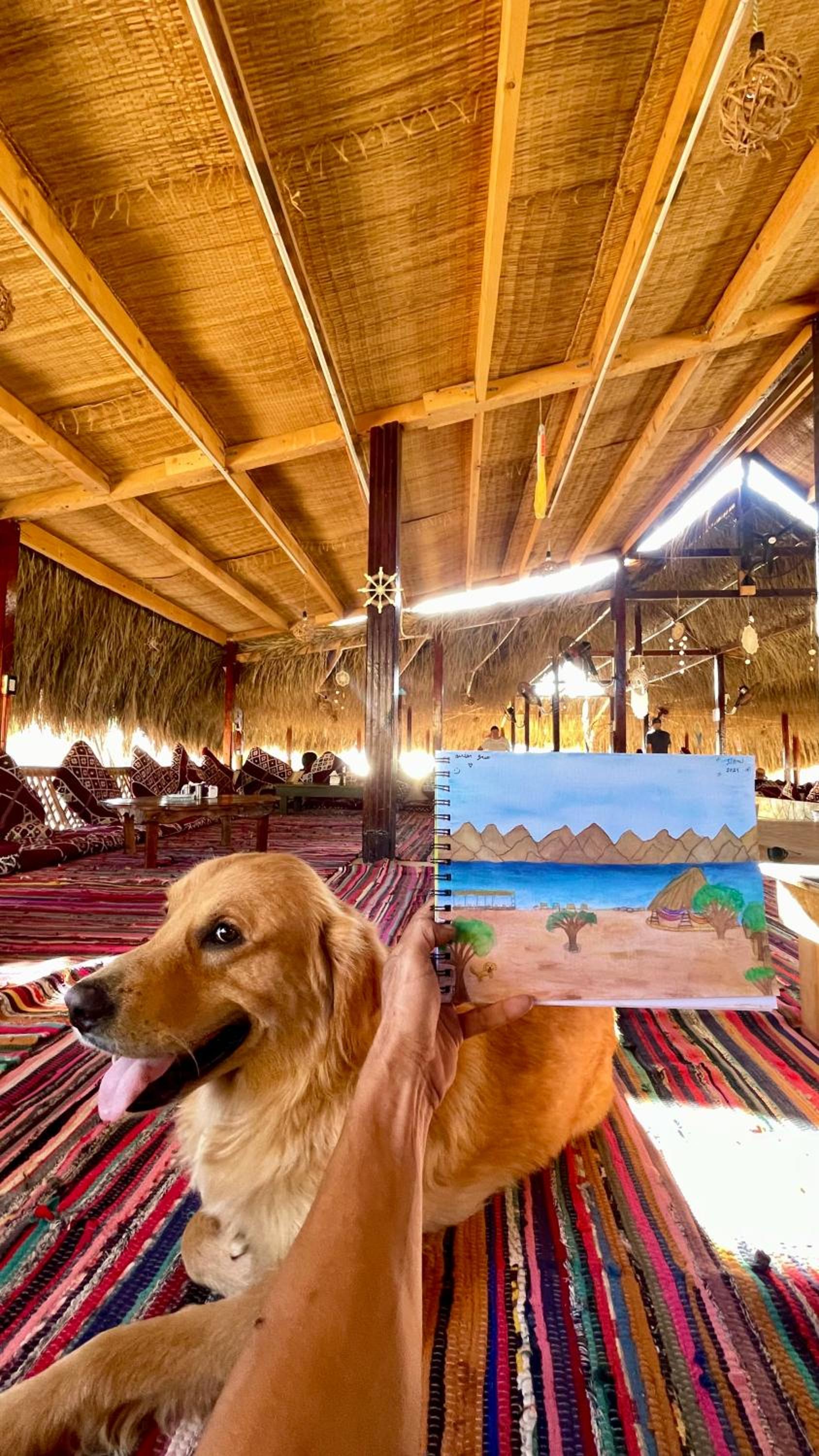 Alwaha Camp