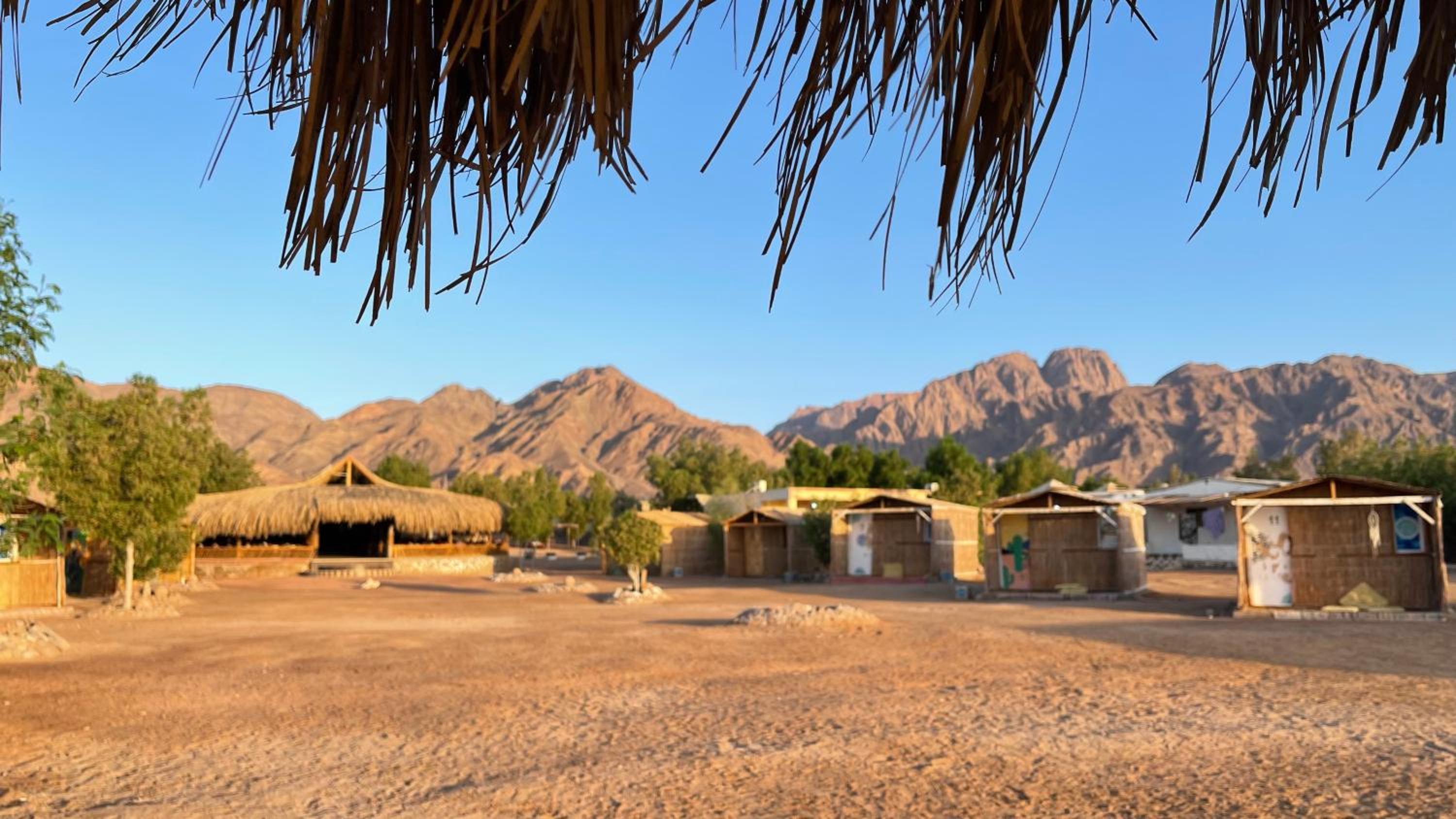Alwaha Camp