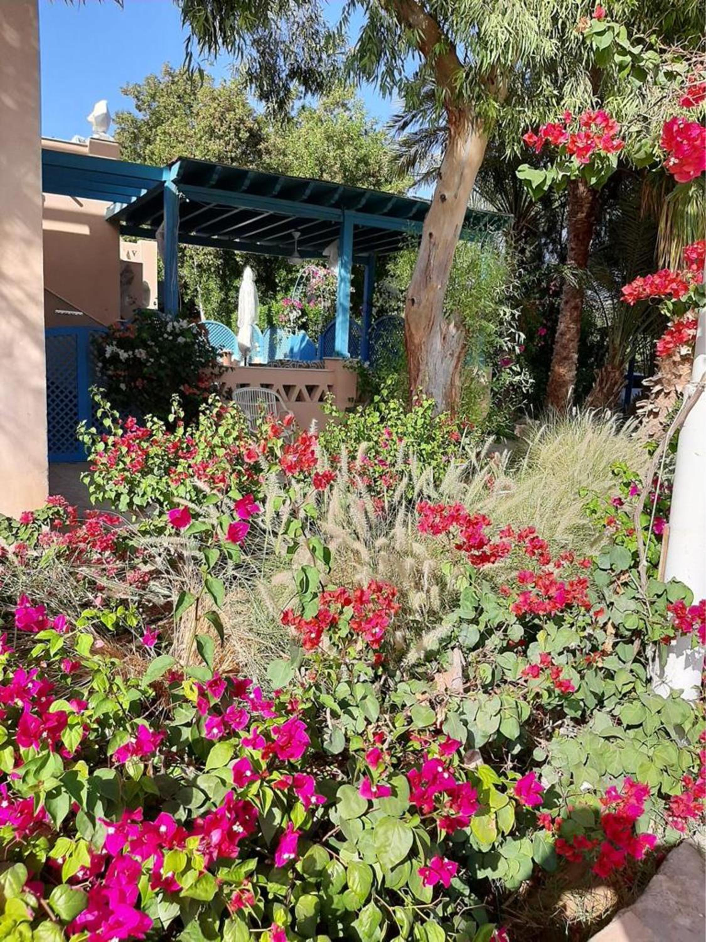 Casa Della Laguna in Gouna