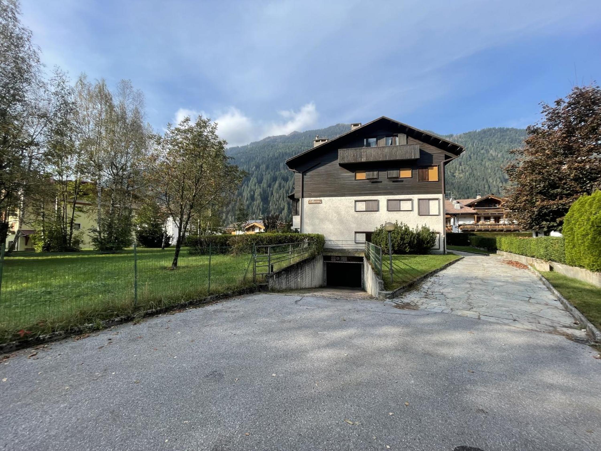 Appartamenti Residenza Alpina view 5