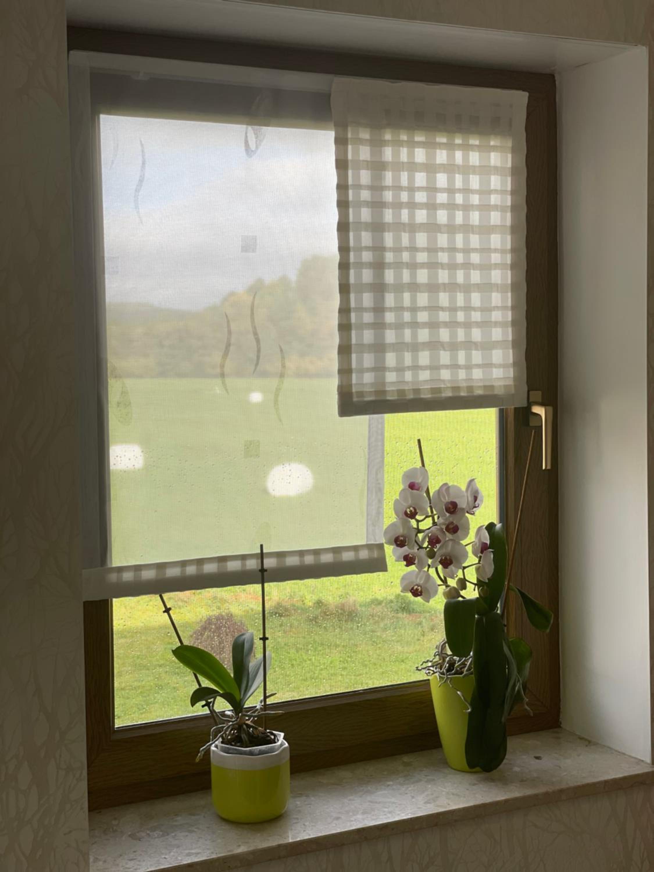 Ferienwohnung Fam.Werner