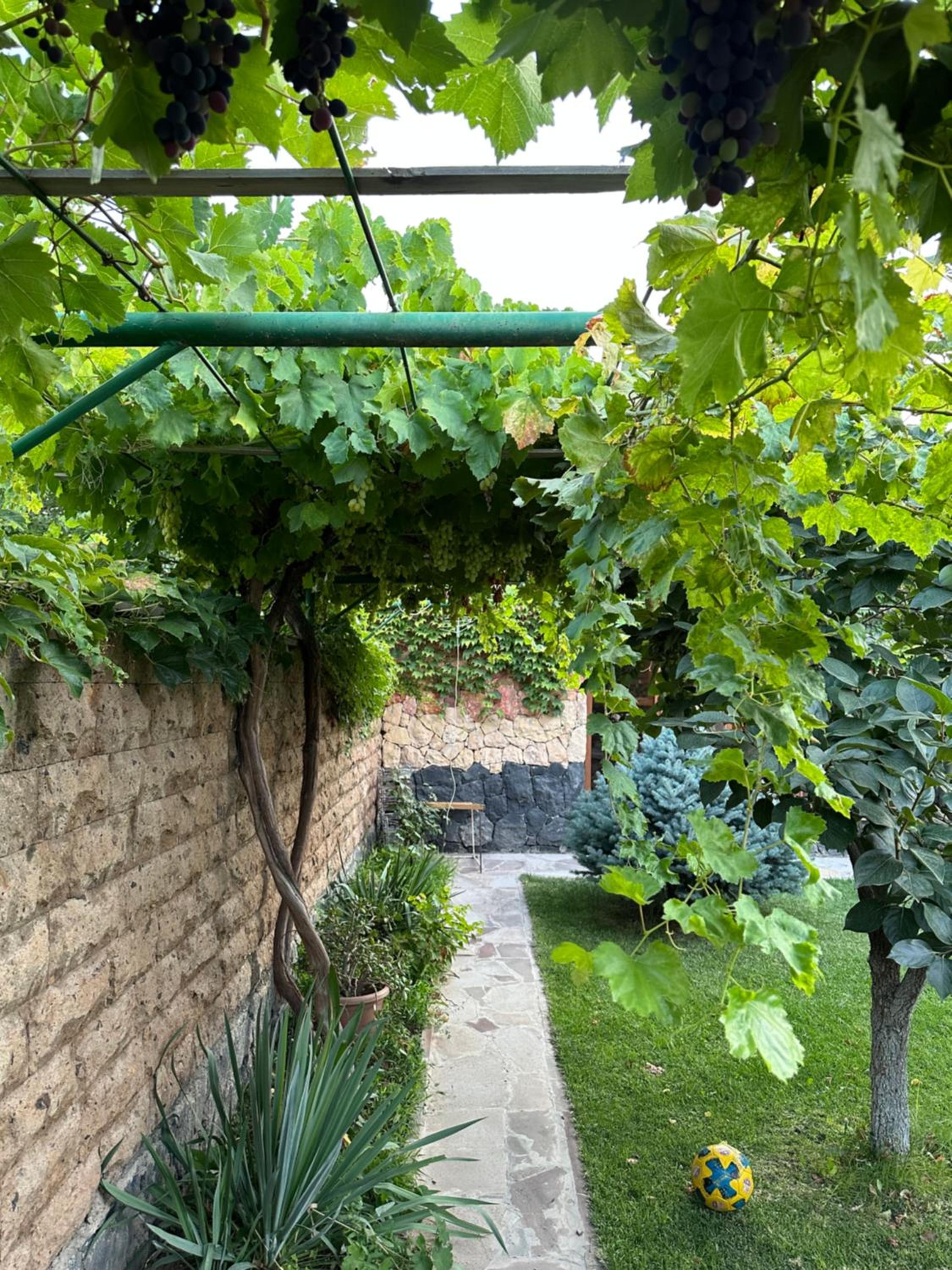 Green Garden Guest House
