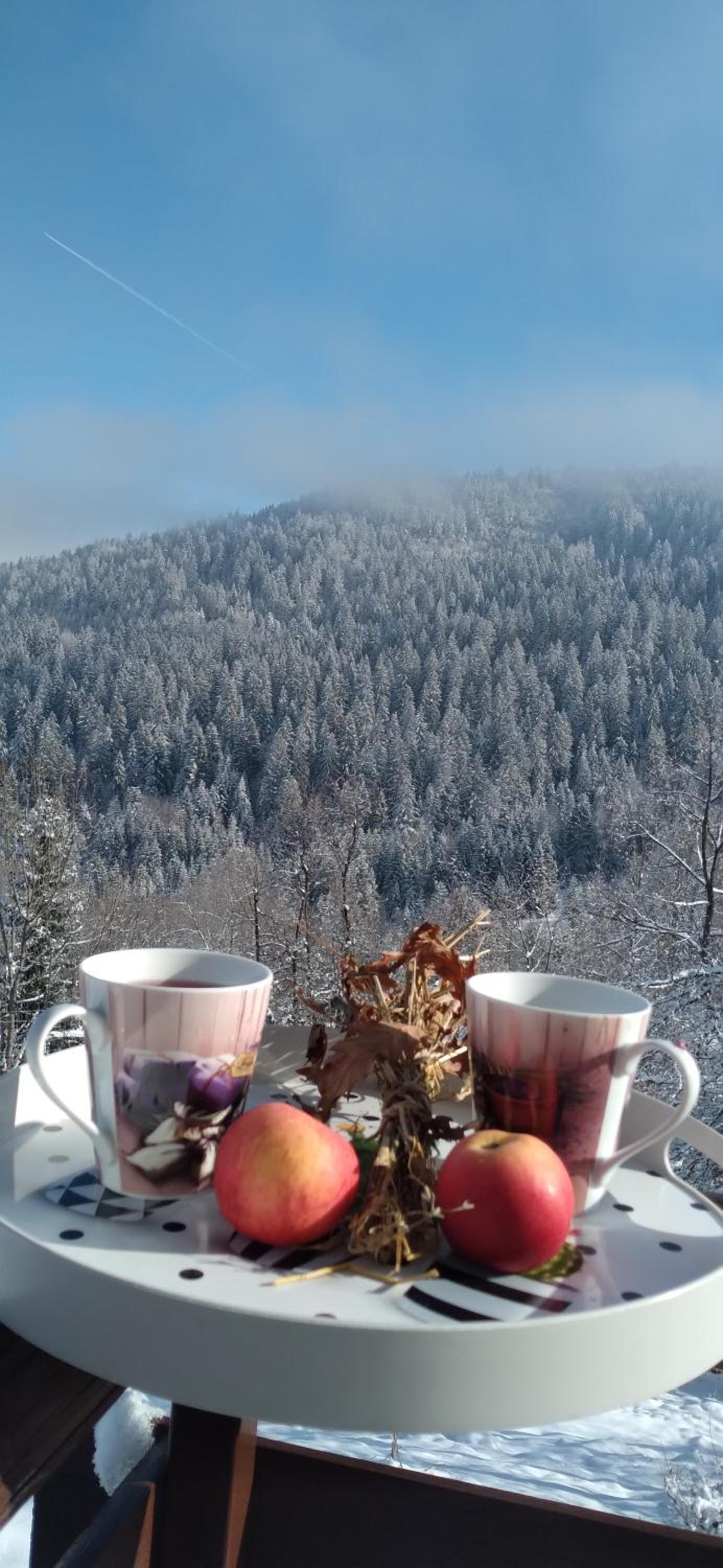 Planinska kuća ,,Furtula