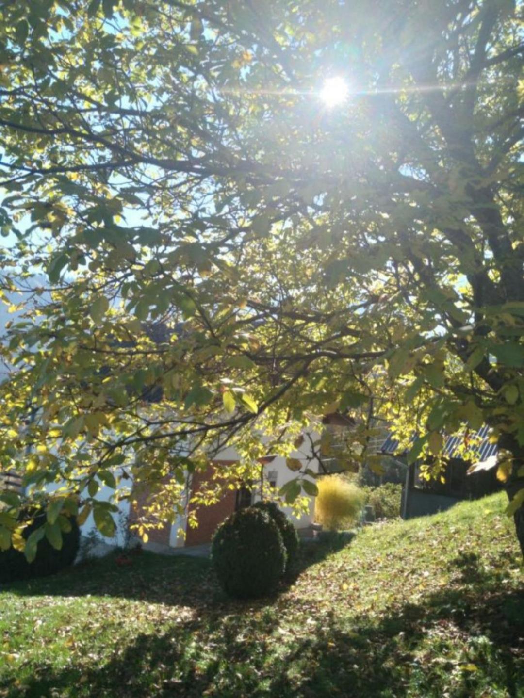 Planinska kuća ,,Furtula