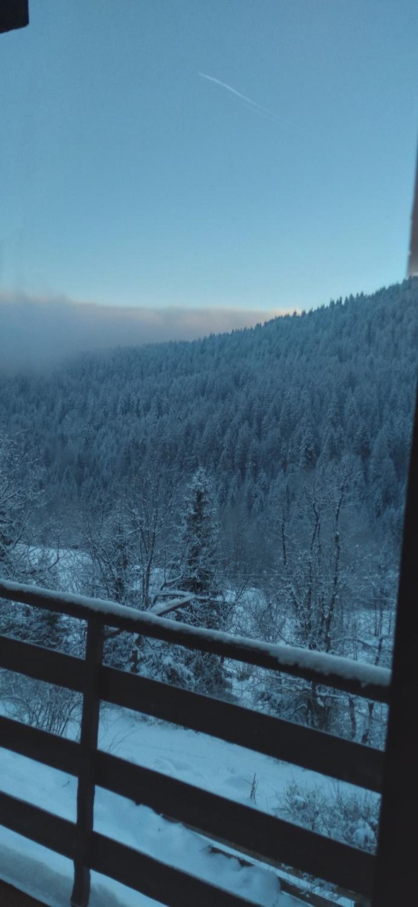 Planinska kuća ,,Furtula